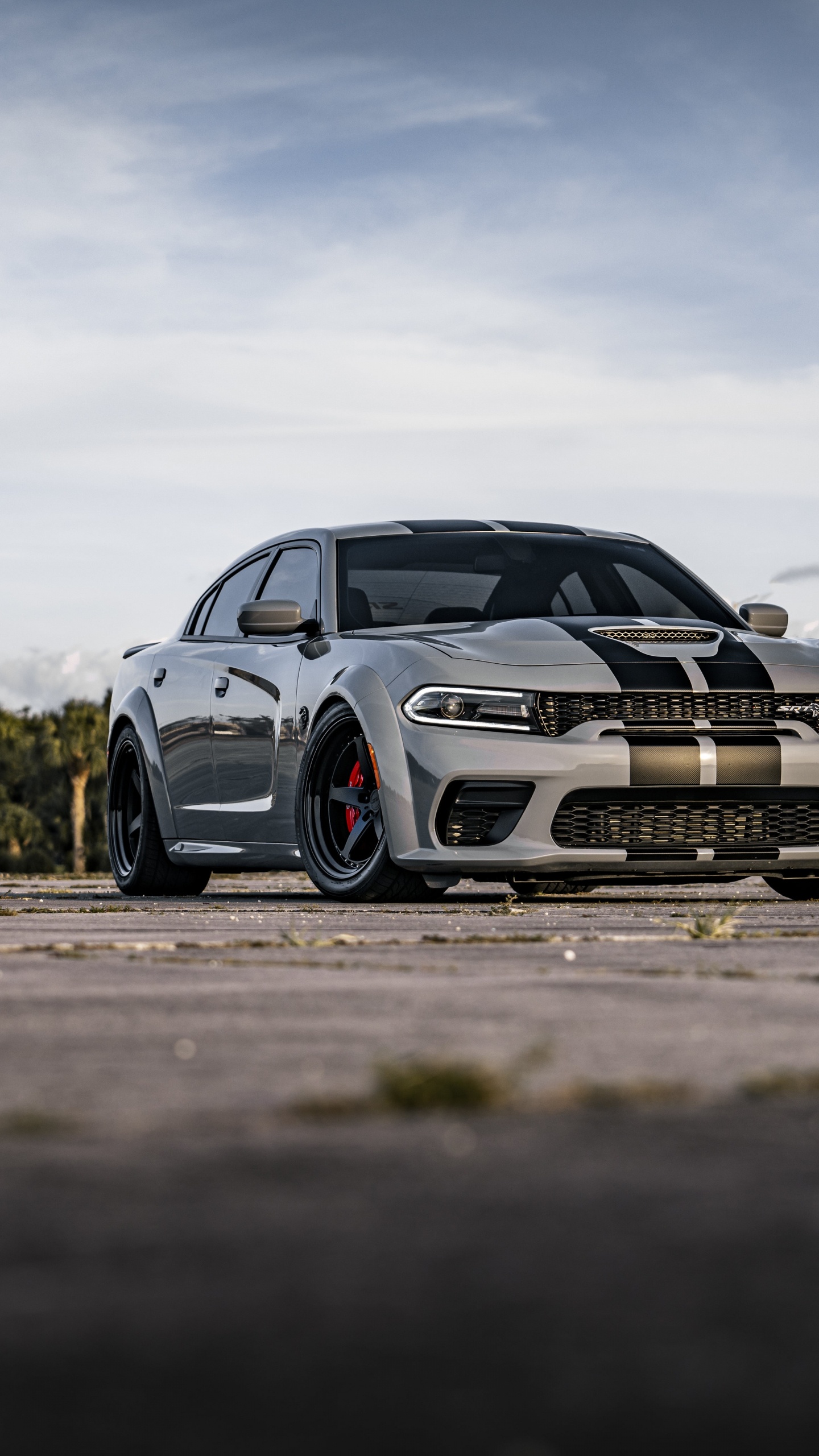 Road, 2022 Dodge-Ladegerät, Dodge, Dodge Charger SRT Hellcat, Car. Wallpaper in 1440x2560 Resolution