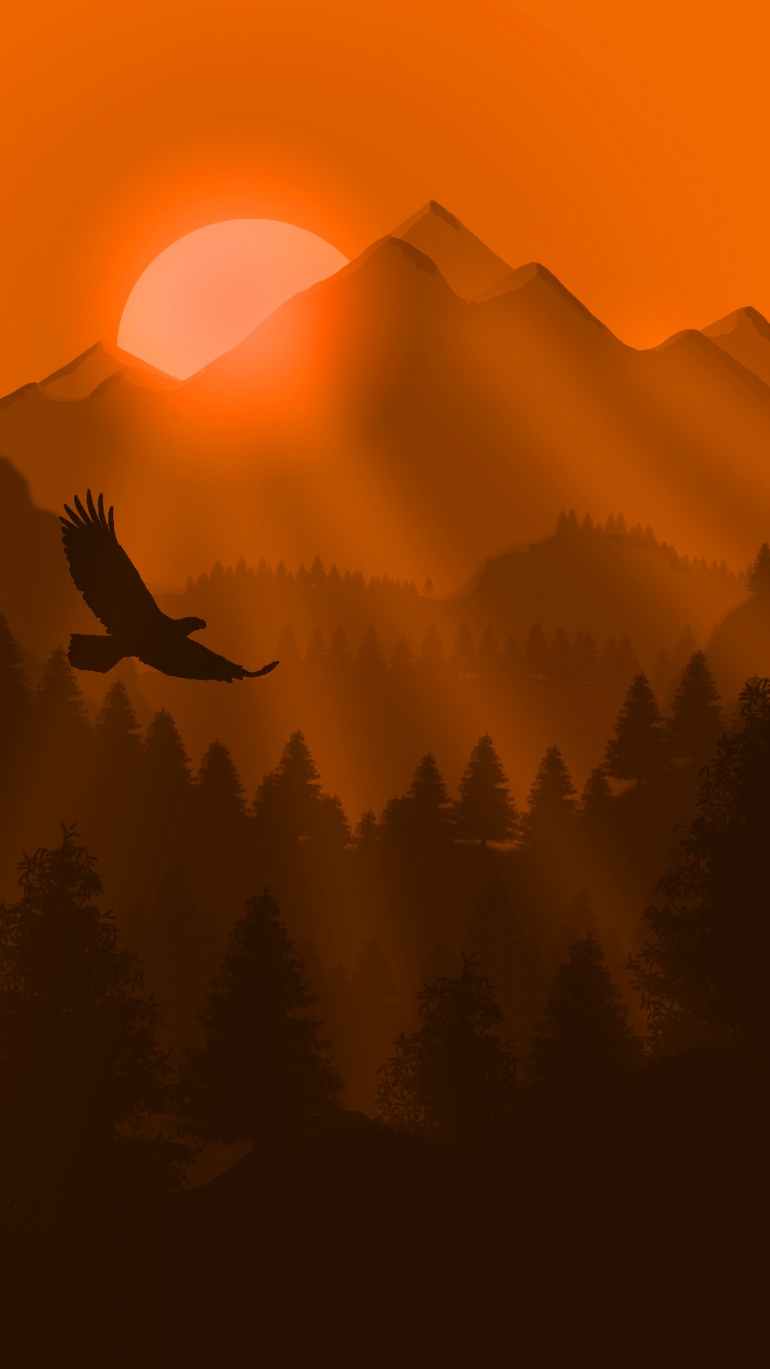 Nature, Orange, Sunrise, Natural Landscape, Morning. Wallpaper in 1080x1920 Resolution