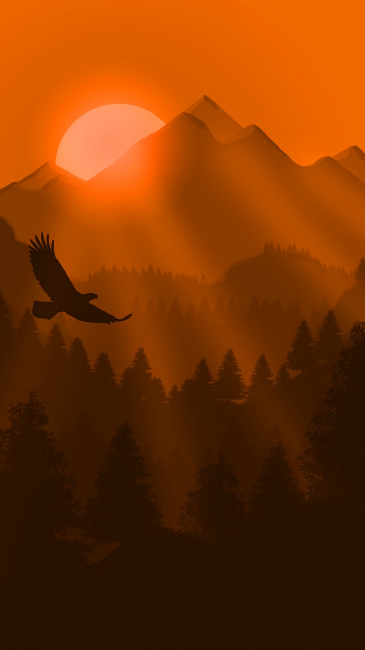 Nature, Orange, Lever, Paysage Naturel, Matin. Wallpaper in 720x1280 Resolution