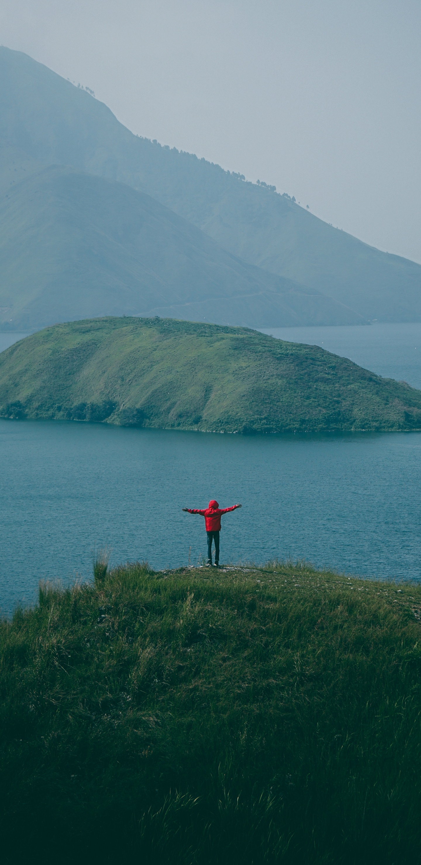 Mer, Green, Côte, Colline, Promontoire. Wallpaper in 1440x2960 Resolution