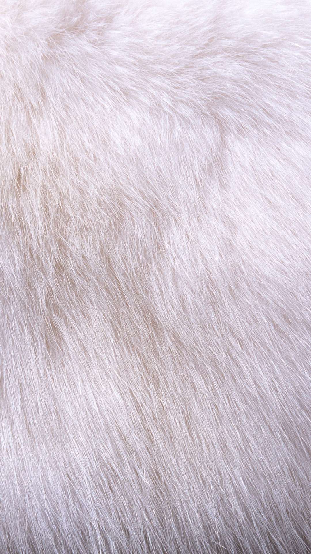 White Fur Textile on Black Textile. Wallpaper in 1080x1920 Resolution