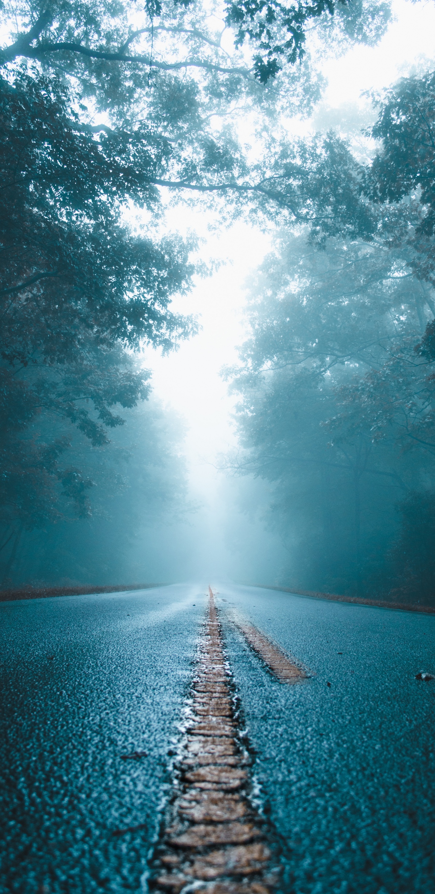 Blue, Eau, Nature, Paysage Naturel, Lumière. Wallpaper in 1440x2960 Resolution