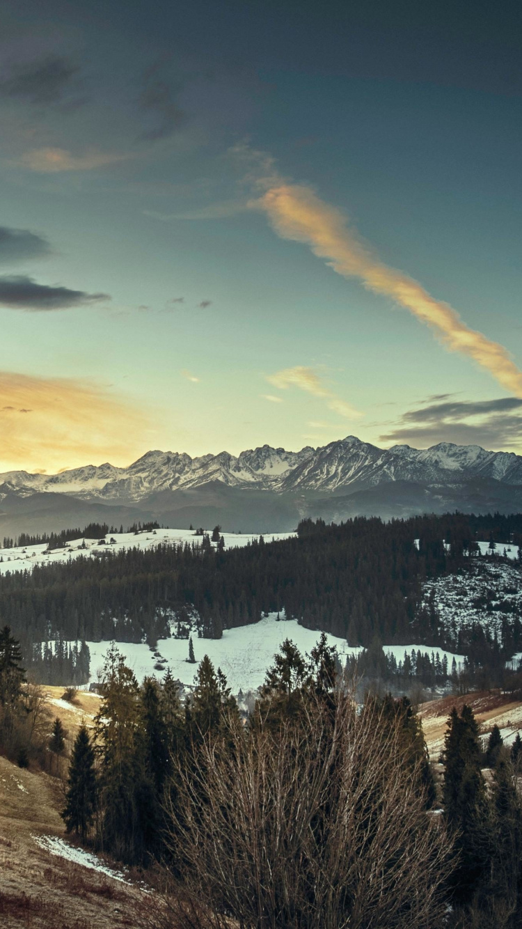 Green Trees and Mountains Under Blue Sky and White Clouds During Daytime. Wallpaper in 750x1334 Resolution