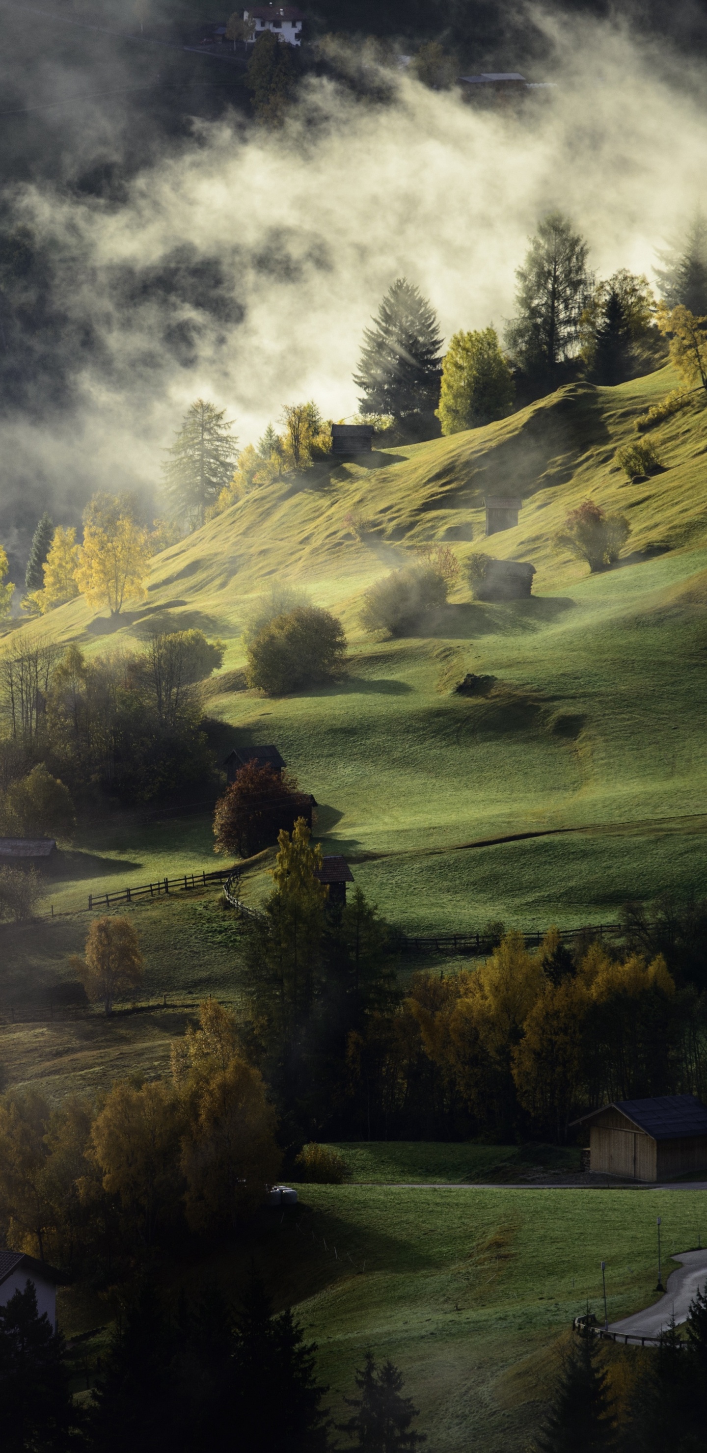 Cloud, Atmosphäre, Naturlandschaft, Hochland, Baum. Wallpaper in 1440x2960 Resolution