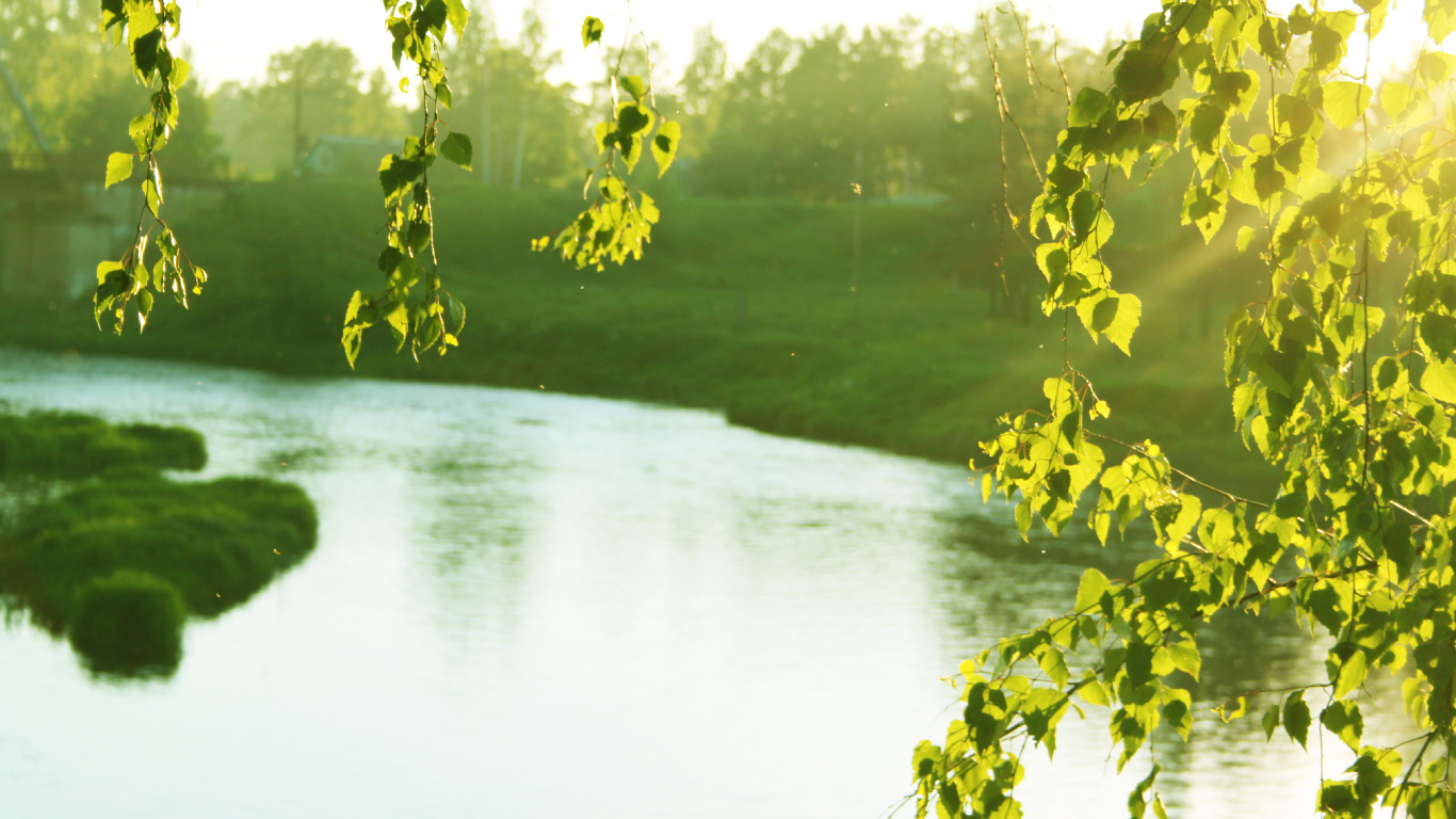 Tagsüber Grüne Wiese in Der Nähe Des Sees. Wallpaper in 1366x768 Resolution