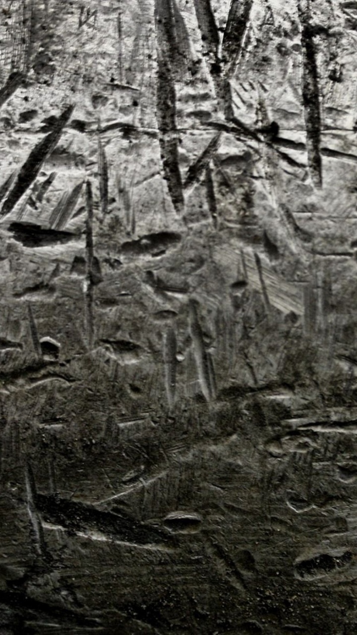 纹理, 森林, 的土壤, 单色模式, 黑色和白色的 壁纸 720x1280 允许