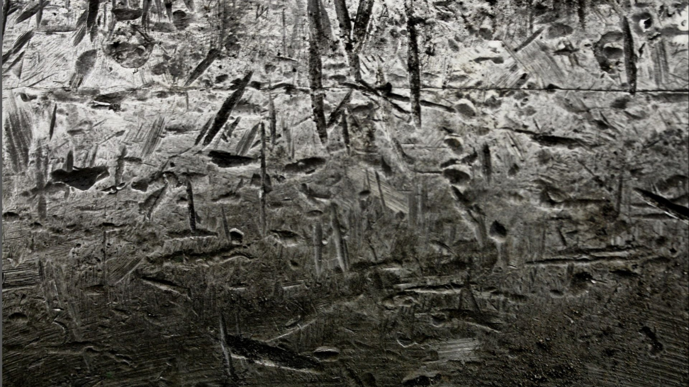 Brown and White Tree Trunk. Wallpaper in 1366x768 Resolution