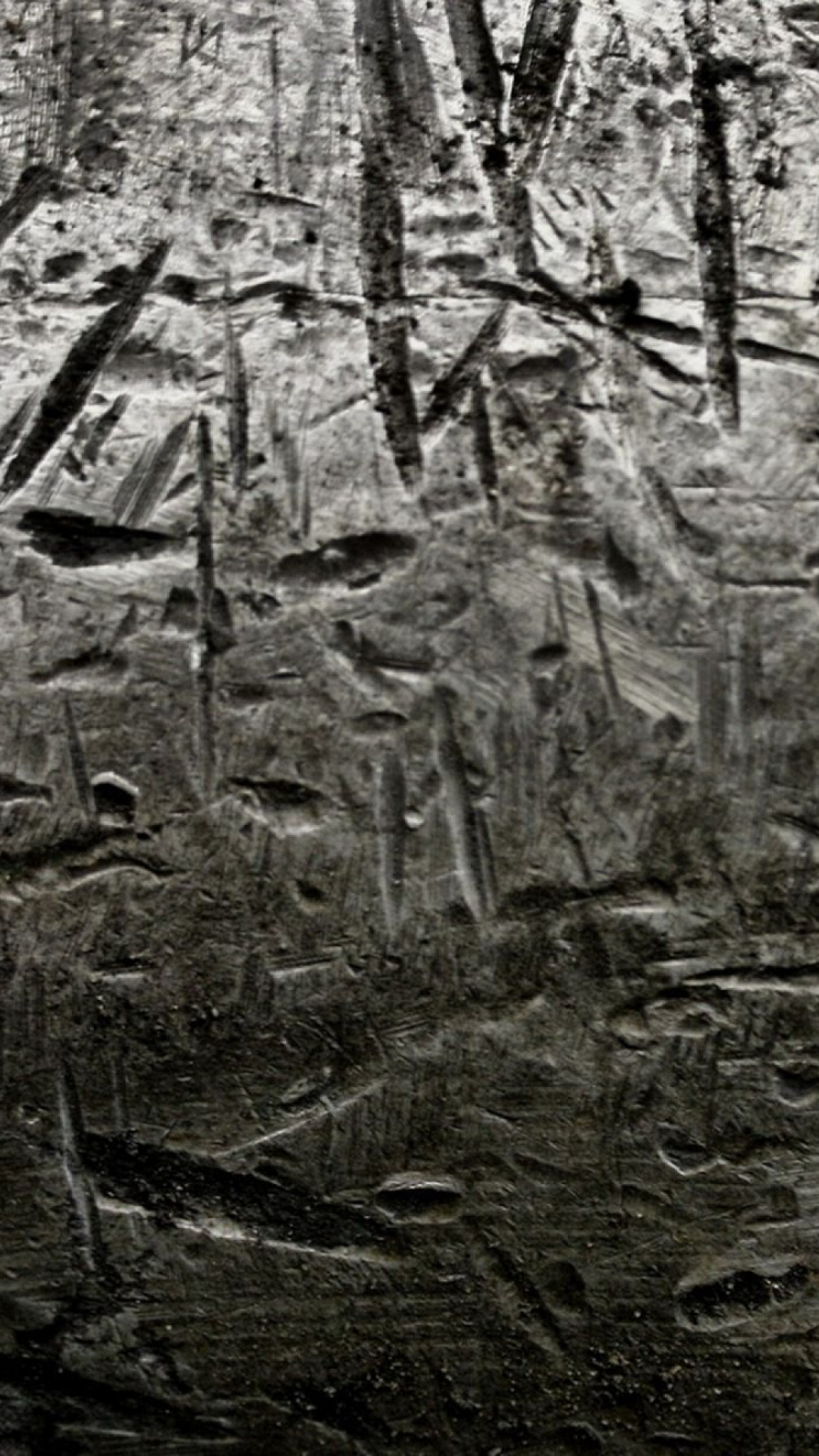 Brown and White Tree Trunk. Wallpaper in 750x1334 Resolution