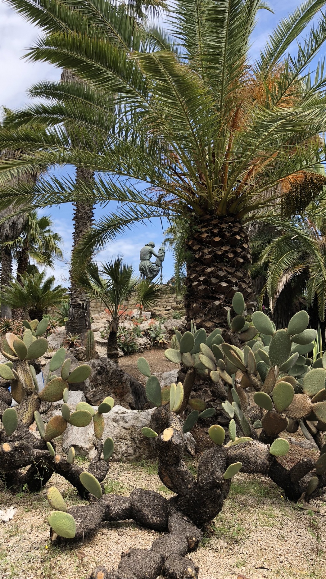 Vegetation, Biome, Shrubland, Palm Trees, Oil Palms. Wallpaper in 1080x1920 Resolution