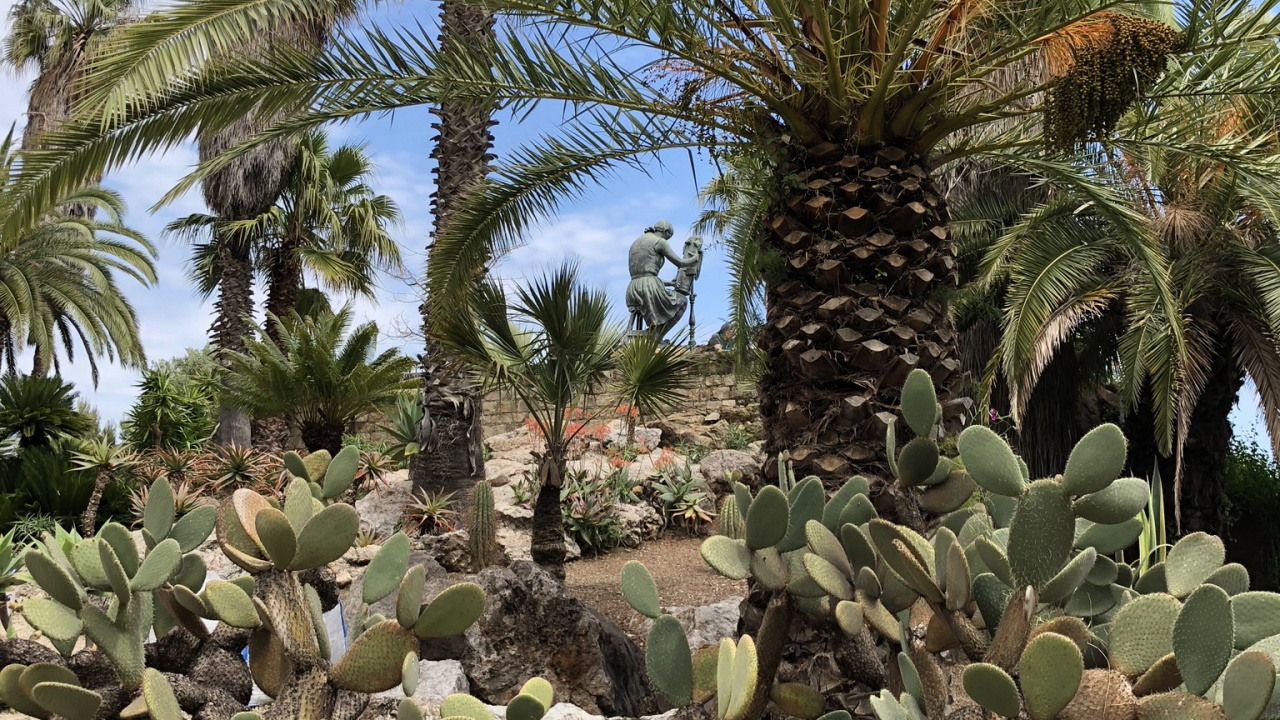 植被, 生物群落, 棕榈树, 科学, 生物学 壁纸 1280x720 允许