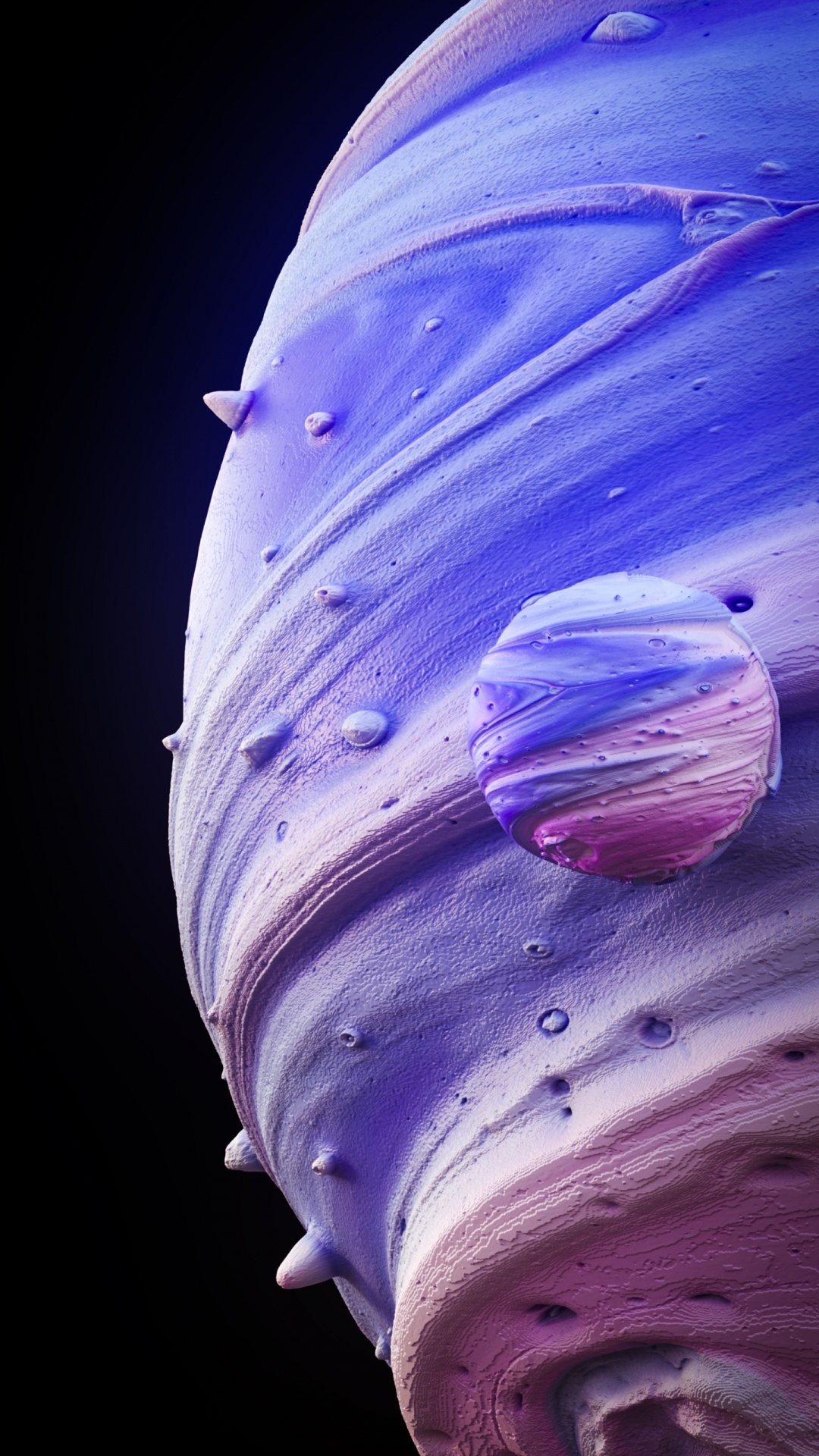 Fermer, Purple, Pétale, Violette, Magenta. Wallpaper in 1080x1920 Resolution