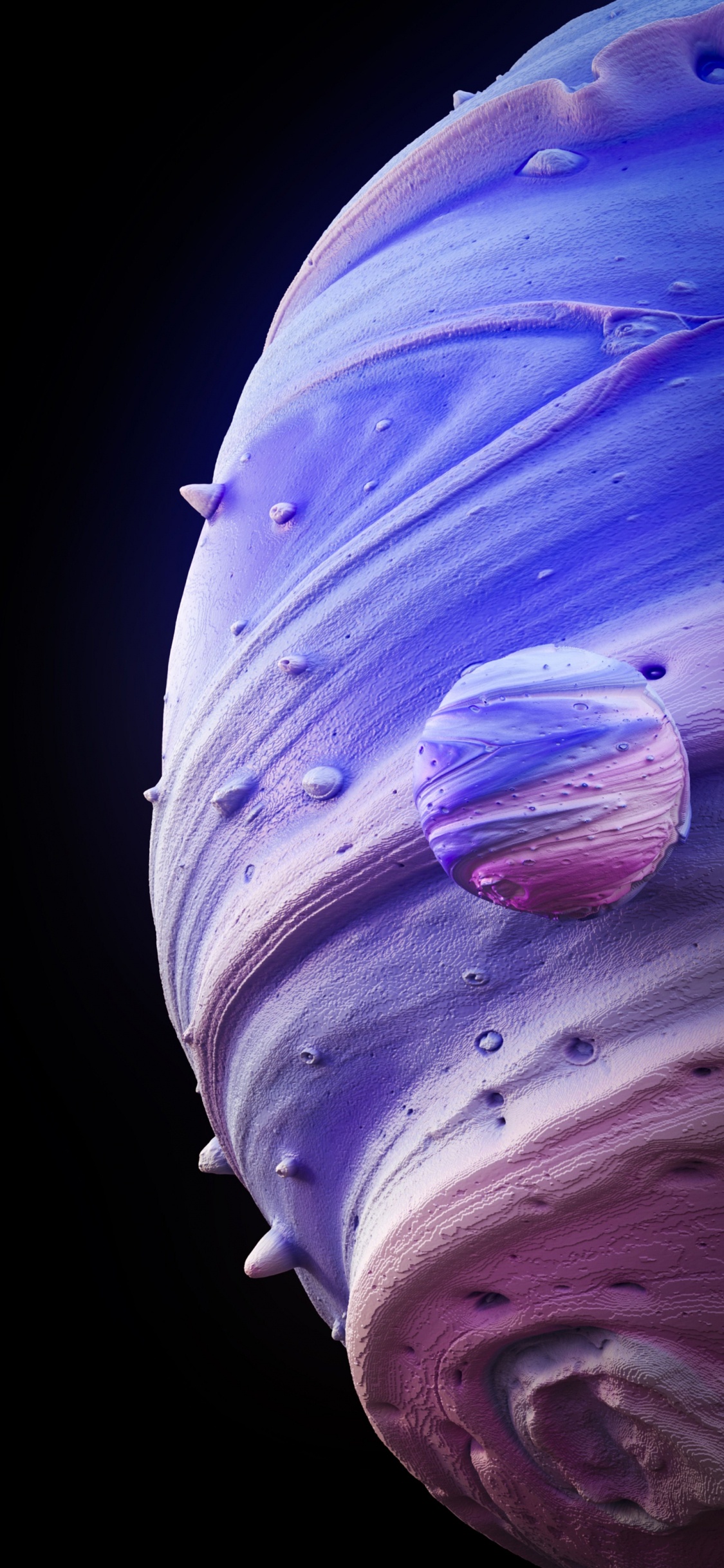 Fermer, Purple, Pétale, Violette, Magenta. Wallpaper in 1125x2436 Resolution