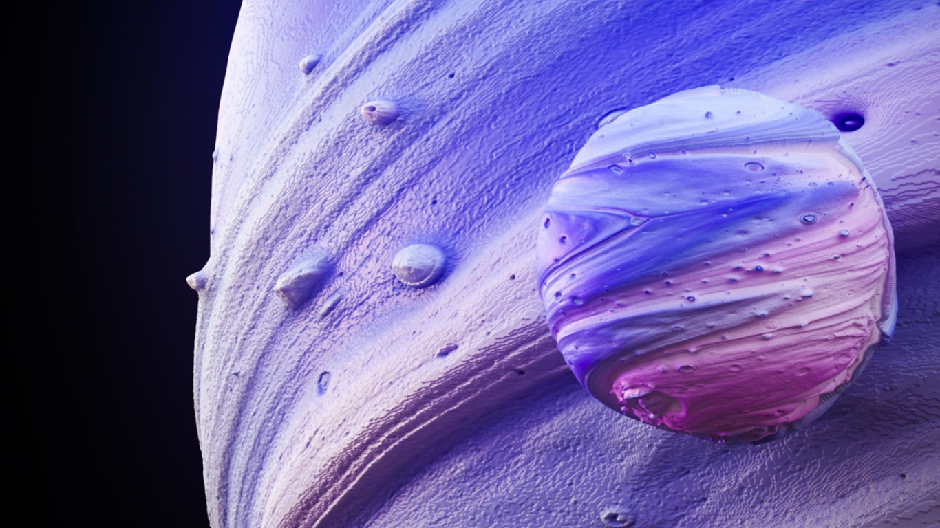 Fermer, Purple, Pétale, Violette, Magenta. Wallpaper in 1366x768 Resolution