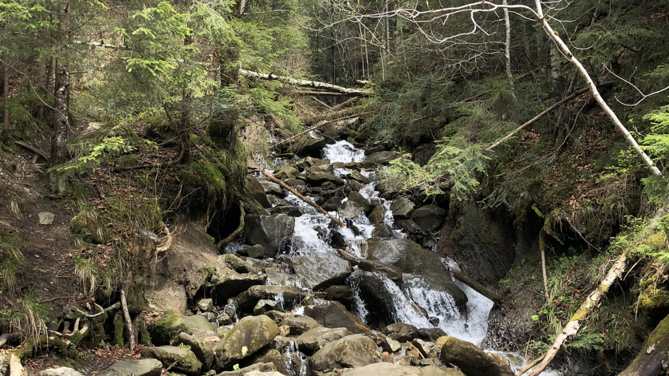 Carpathian Mountains, Nature Reserve, Body of Water, Nature, Vegetation. Wallpaper in 1366x768 Resolution