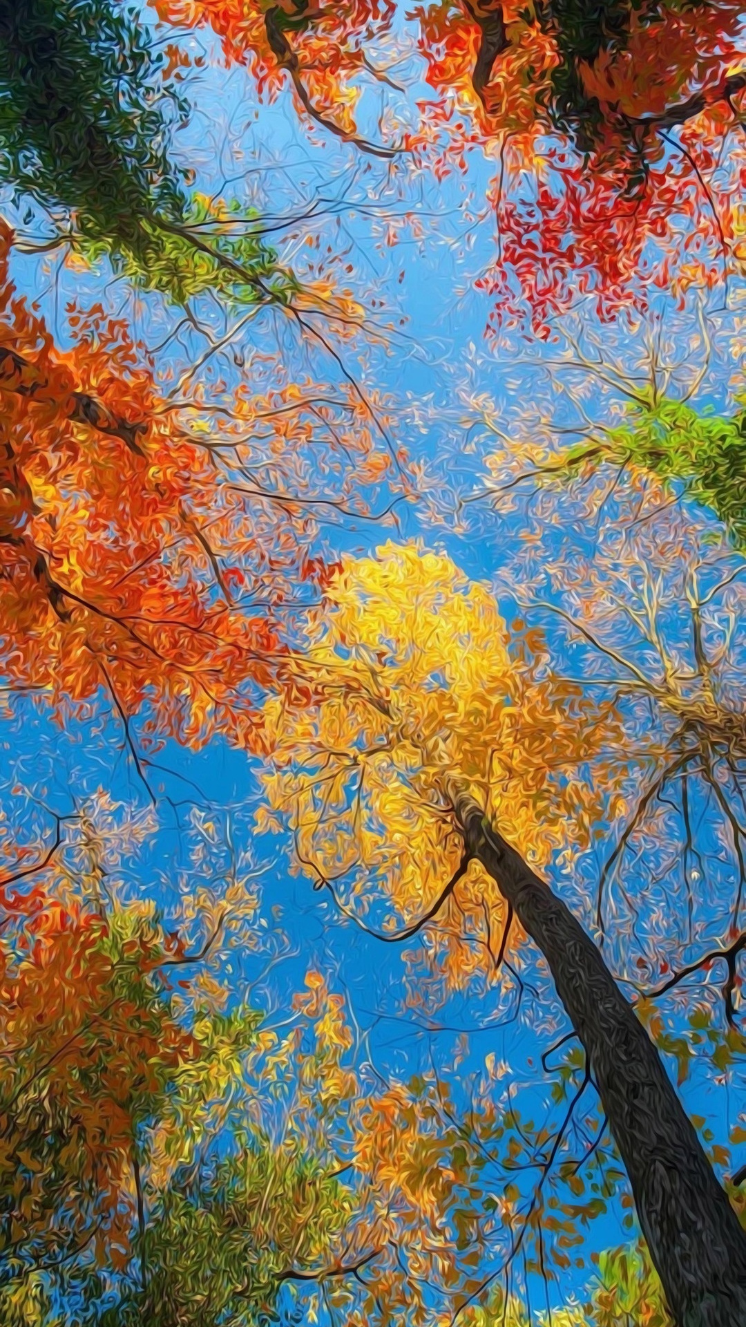 Autumn, Botany, People in Nature, Twig, Branch. Wallpaper in 1080x1920 Resolution