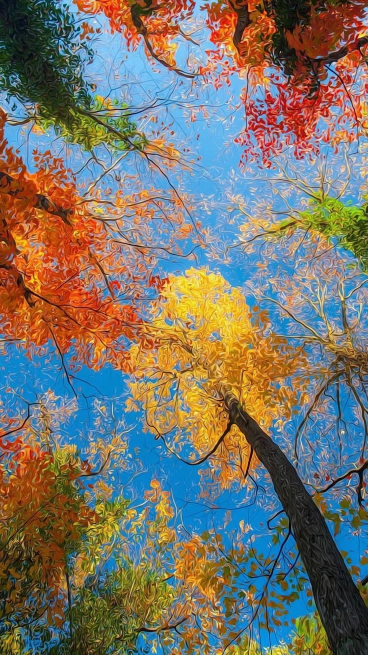 Autumn, Botany, People in Nature, Twig, Branch. Wallpaper in 750x1334 Resolution