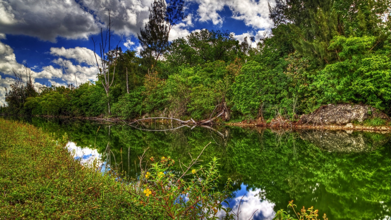 Árboles Verdes Junto al Río Bajo un Cielo Azul y Nubes Blancas Durante el Día. Wallpaper in 1366x768 Resolution