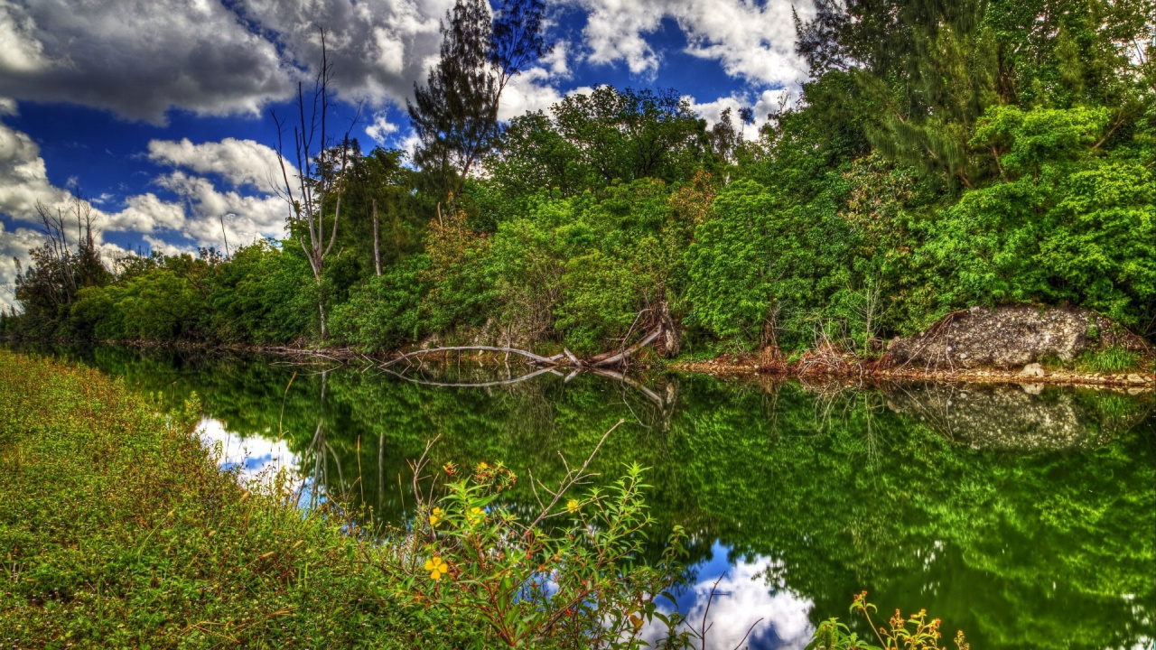 Green Trees Beside River Under Blue Sky and White Clouds During Daytime. Wallpaper in 1280x720 Resolution
