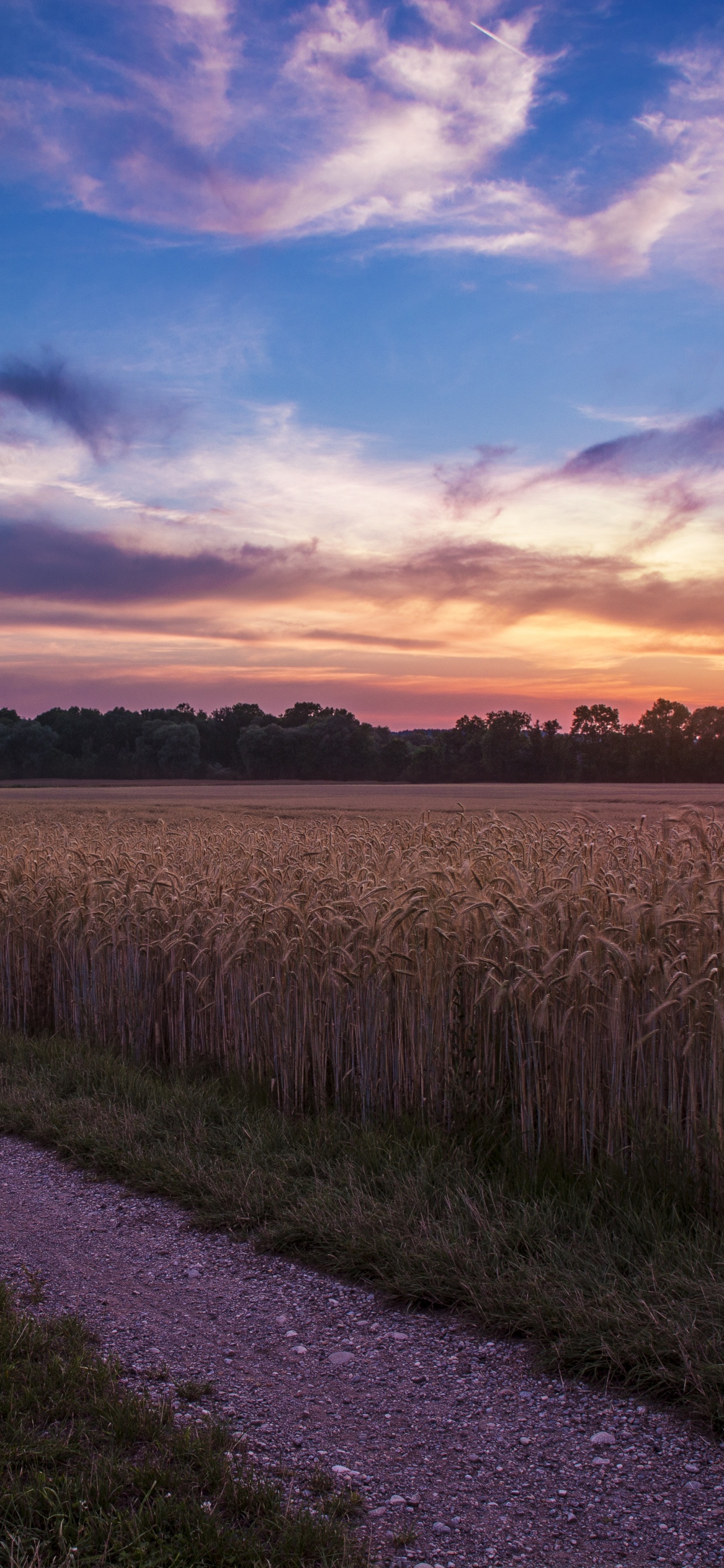 Campo de Hierba Verde Bajo un Cielo Azul Durante el Día. Wallpaper in 1242x2688 Resolution