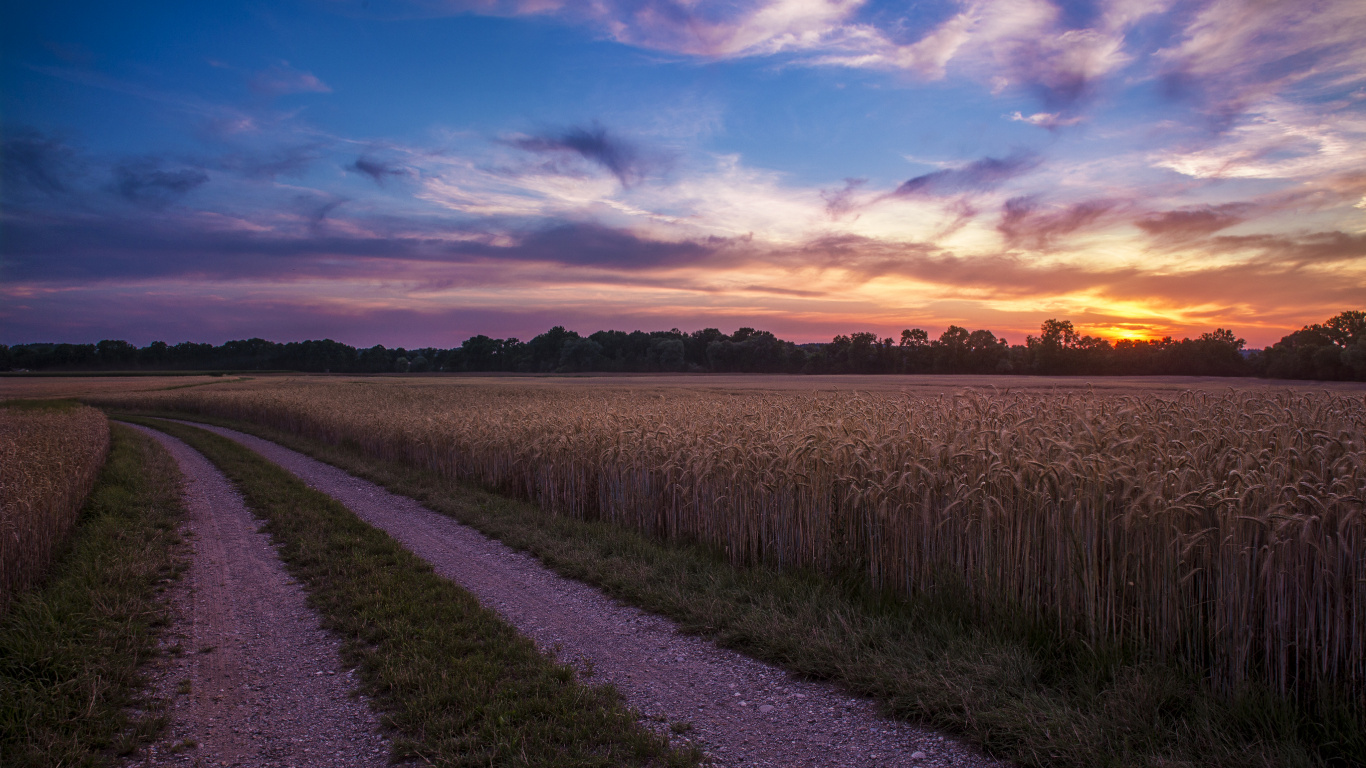 Green Grass Field Under Blue Sky During Daytime. Wallpaper in 1366x768 Resolution