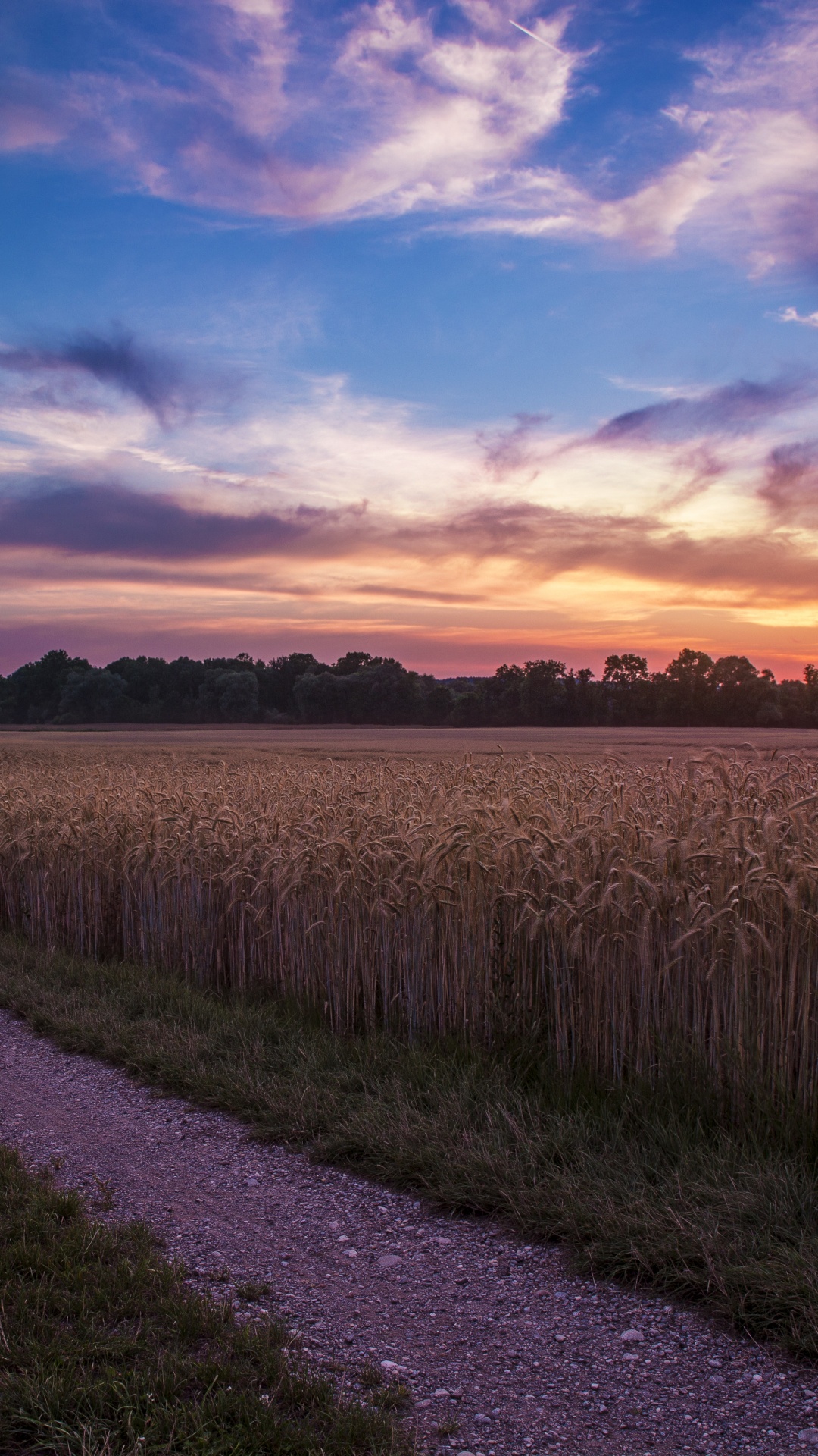 早上, 日落, 风景画, 地平线, 晚上 壁纸 1080x1920 允许