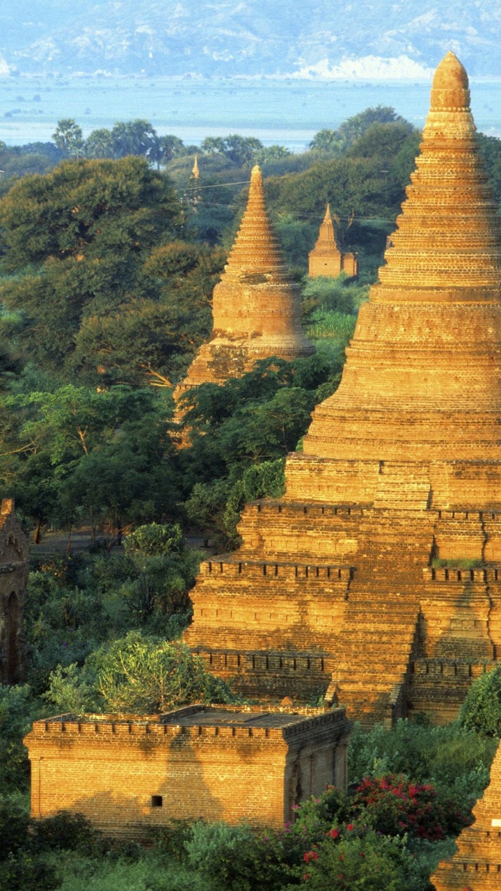 Brown Concrete Temple Surrounded by Green Trees During Daytime. Wallpaper in 720x1280 Resolution