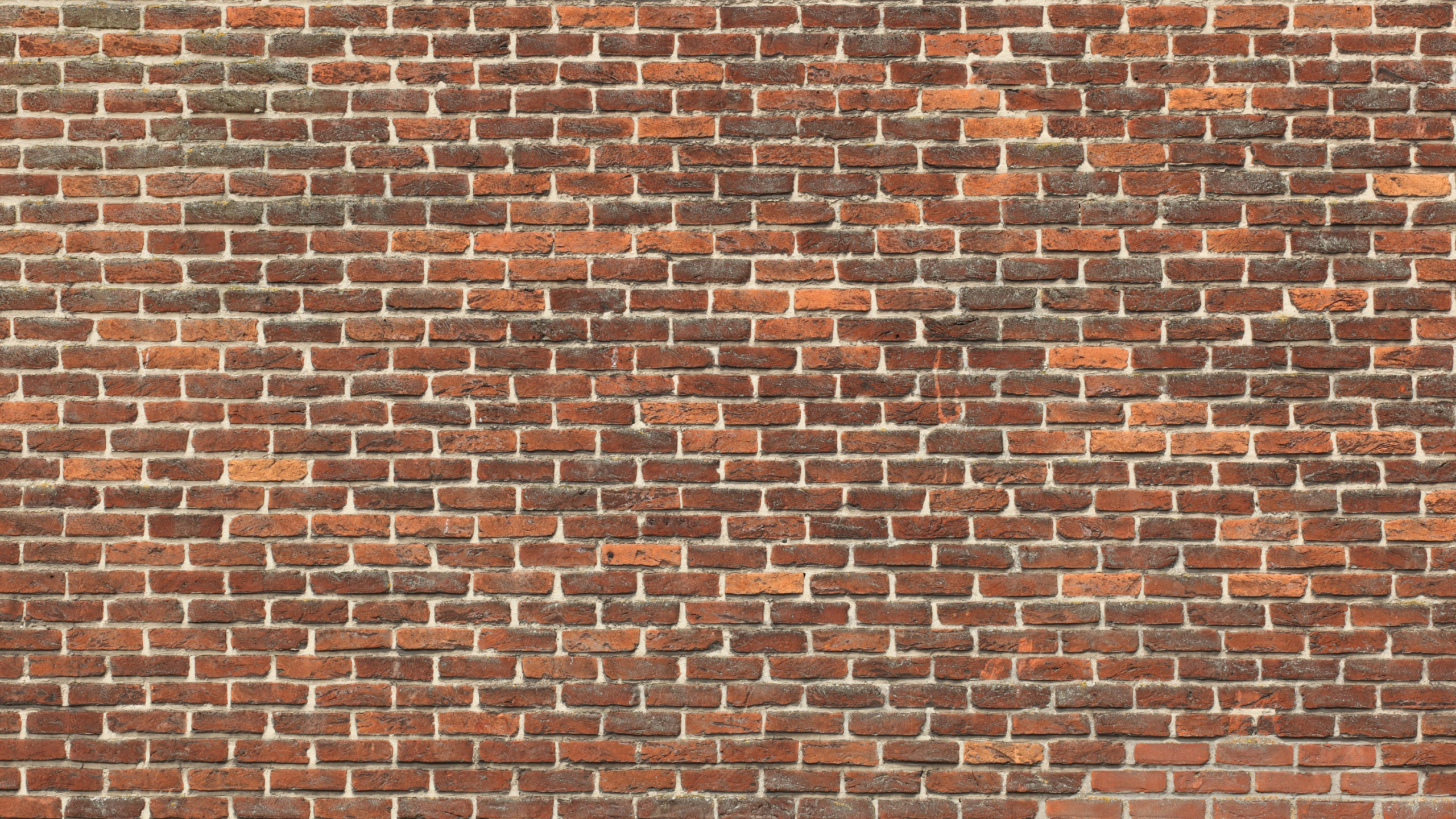 Mur de Briques Brunes et Noires. Wallpaper in 2560x1440 Resolution