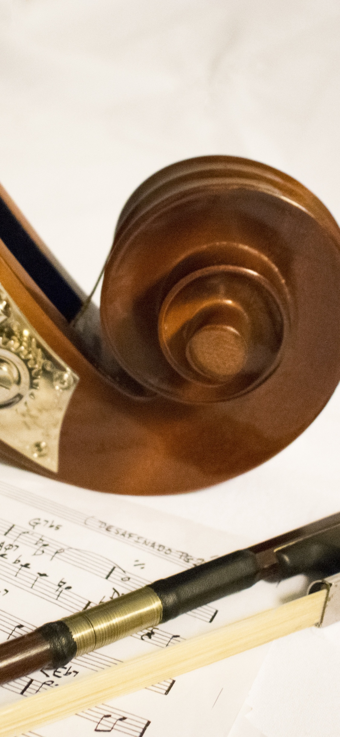 Contrebasse, la Musique Classique, Instrument de Musique, Compositeur, Leçon de Musique. Wallpaper in 1125x2436 Resolution