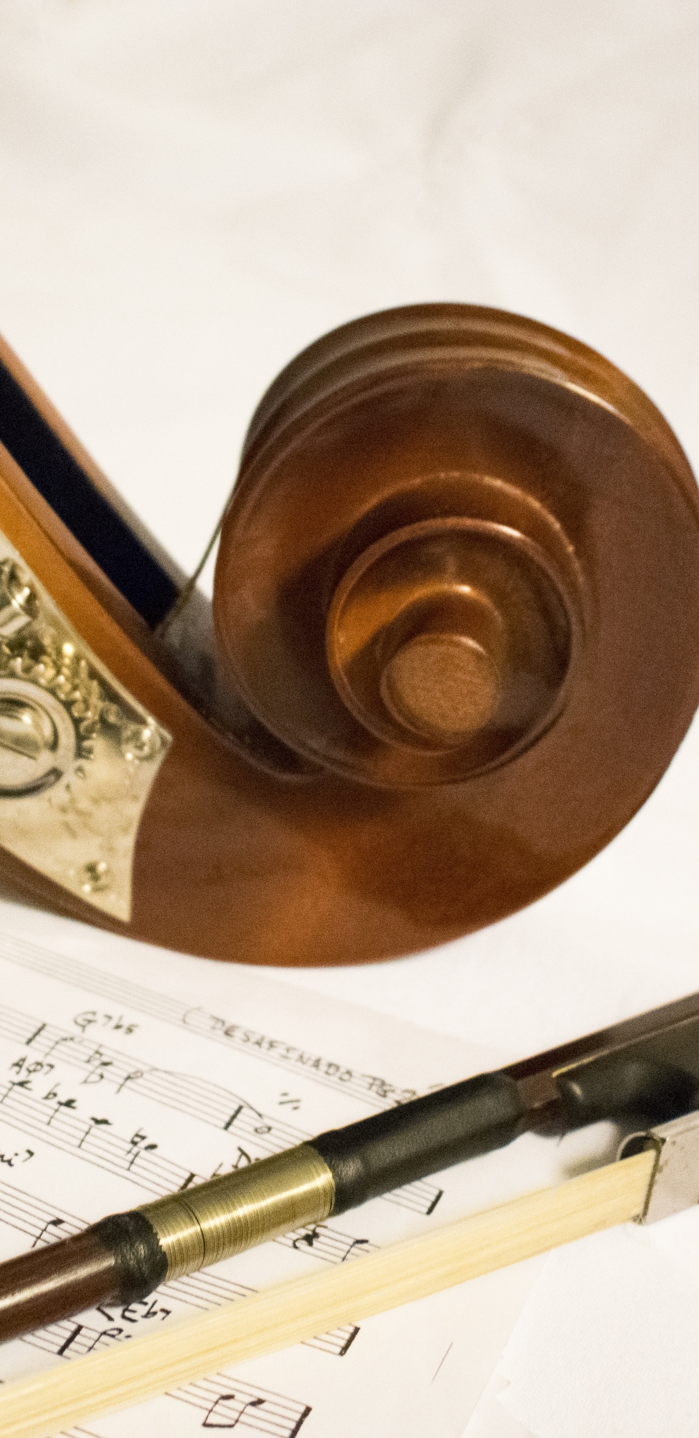 Contrebasse, la Musique Classique, Instrument de Musique, Compositeur, Leçon de Musique. Wallpaper in 1440x2960 Resolution