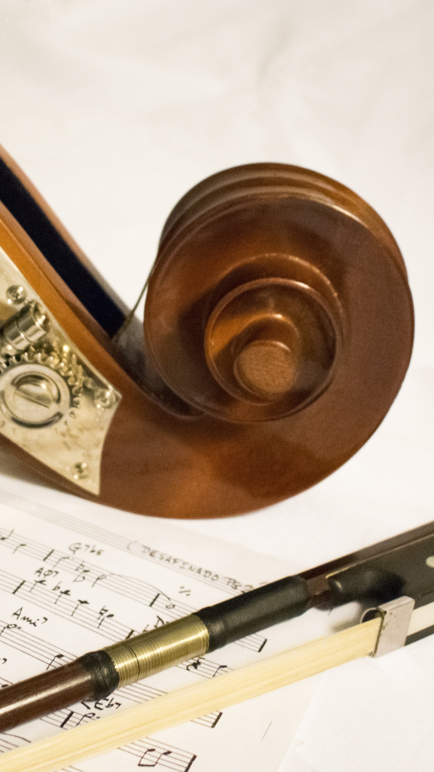 Contrabajo, la Música Clásica, Sica, Instrumento Musical, Compositor. Wallpaper in 1440x2560 Resolution