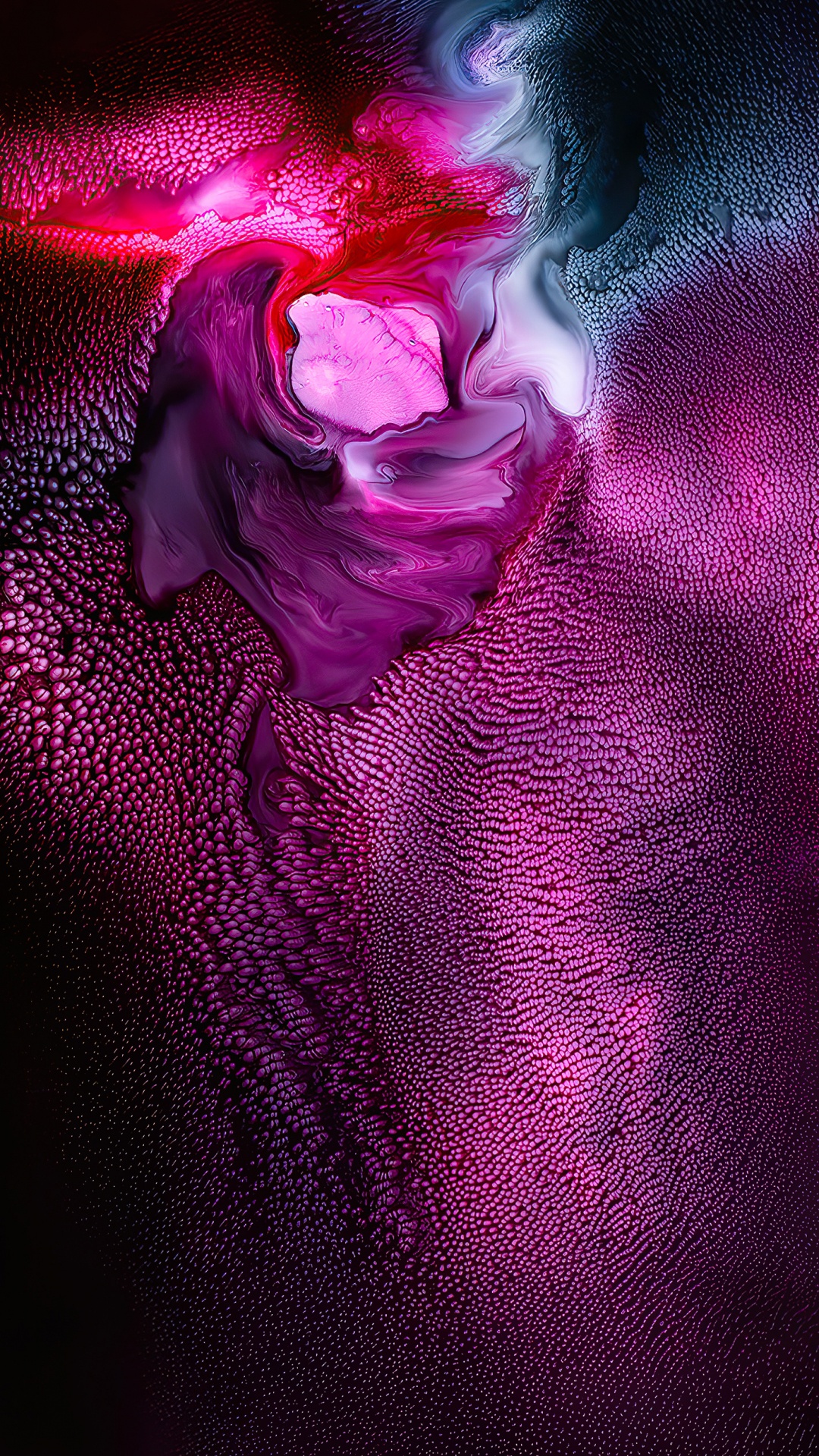 Veilchen, Pink, Licht, Purpur, Äpfeln. Wallpaper in 1080x1920 Resolution