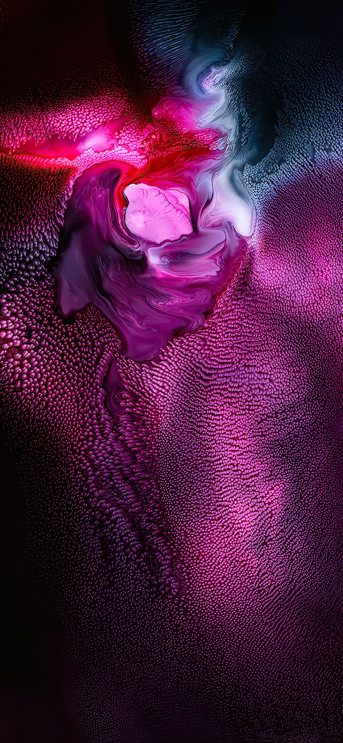 Veilchen, Pink, Licht, Purpur, Äpfeln. Wallpaper in 1125x2436 Resolution