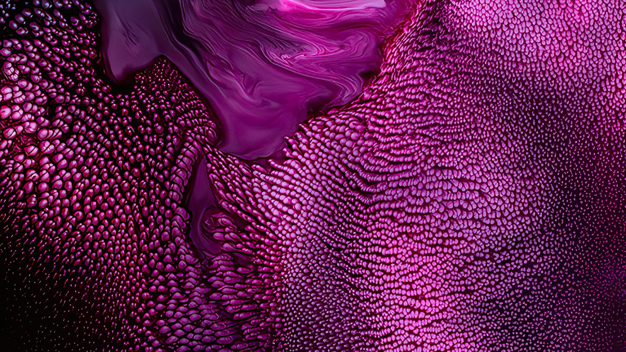 Violet, Pink, Light, Purple, Apples. Wallpaper in 1280x720 Resolution