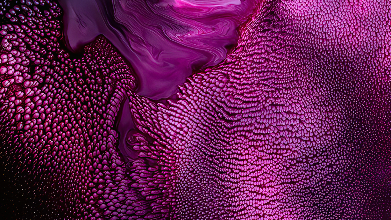 紫罗兰色, 粉红色, 光, 紫色的, 苹果 壁纸 1366x768 允许