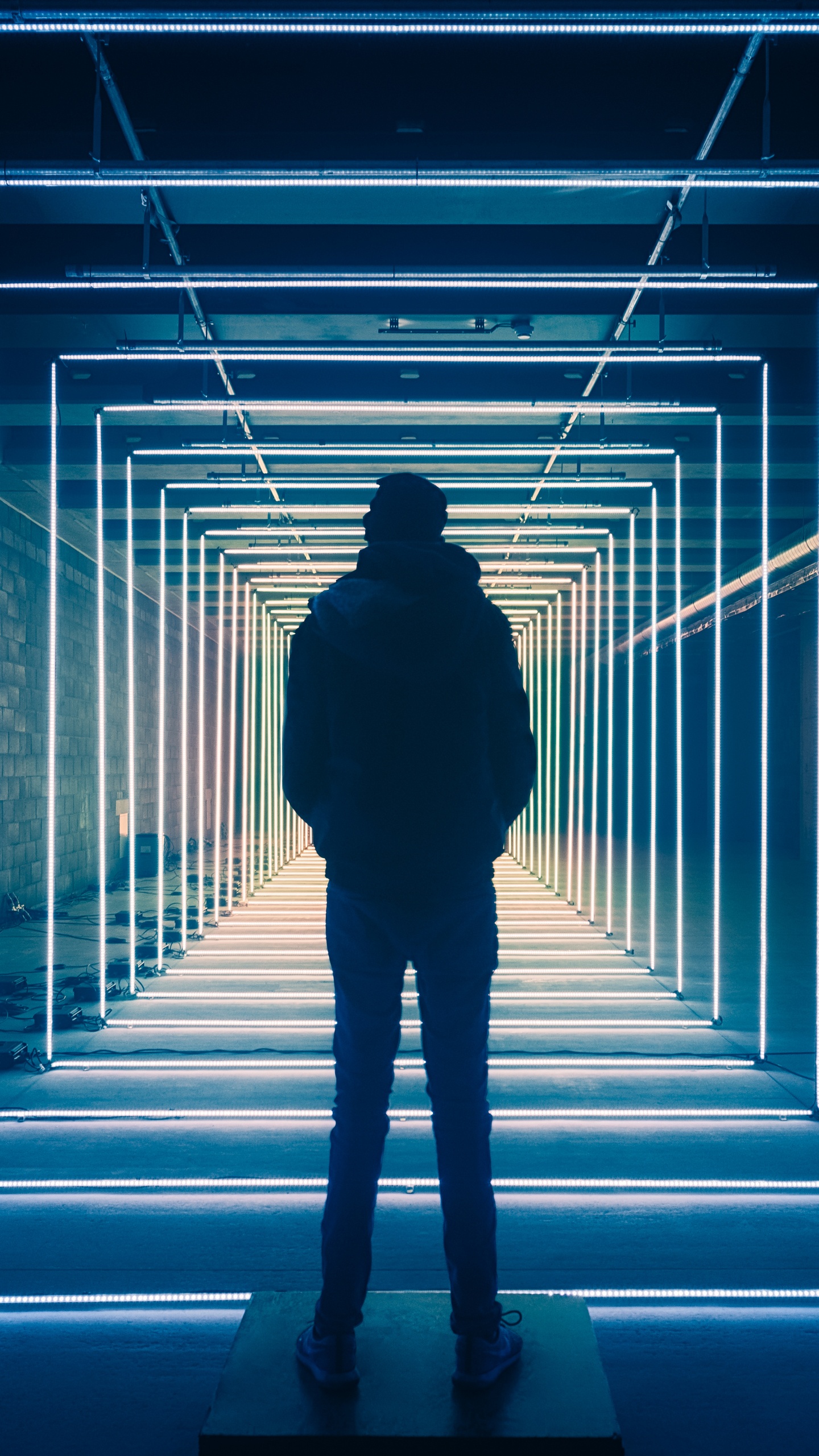 Light, Blue, Black, Darkness, Standing. Wallpaper in 1440x2560 Resolution