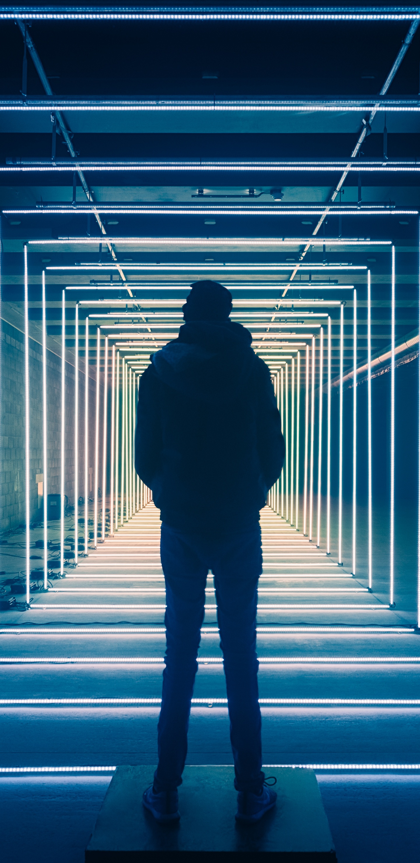 Licht, Blau, Schwarz, Stehend, Schatten. Wallpaper in 1440x2960 Resolution