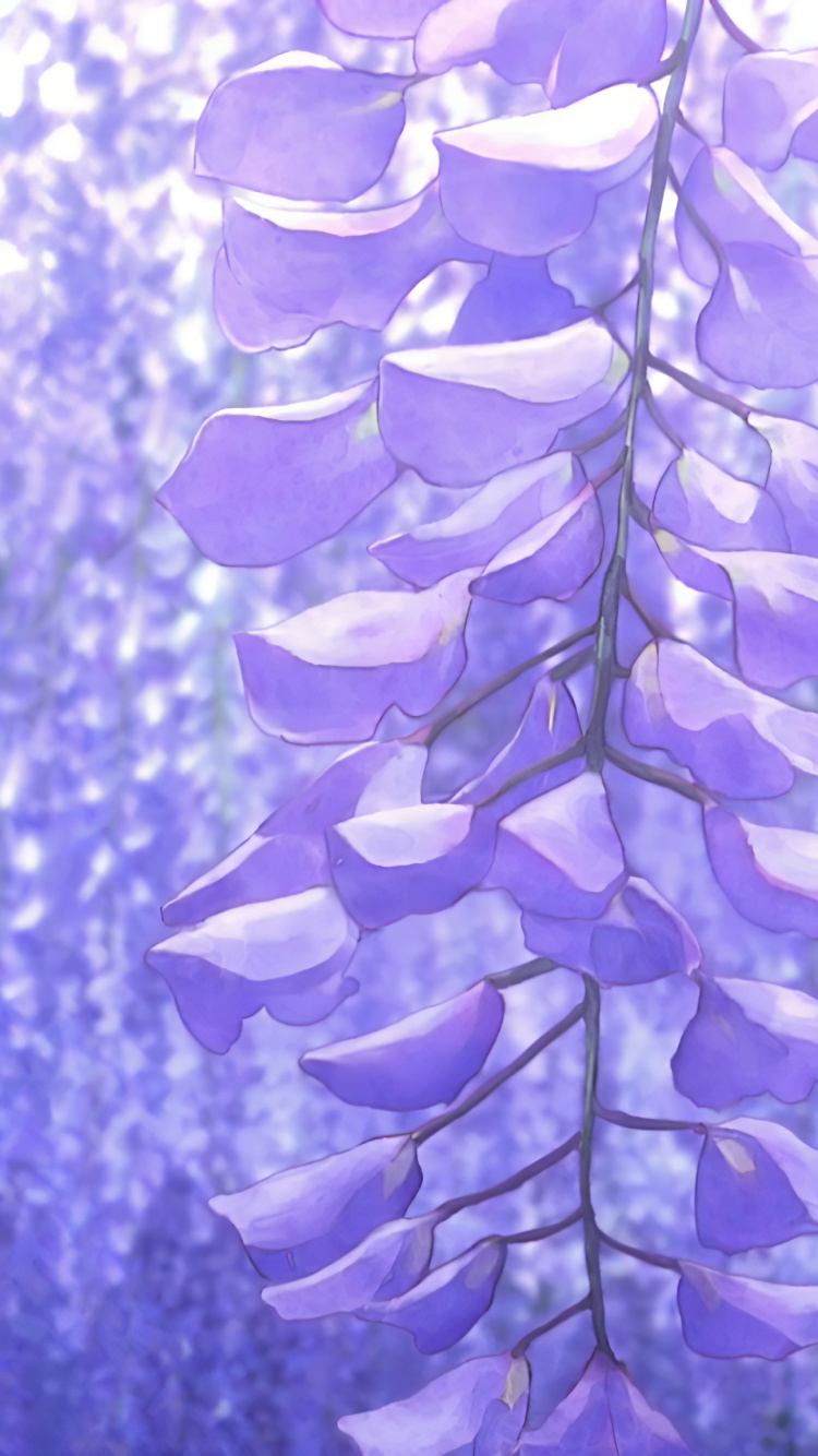 Wisteria Demon Slayer, Vine, Flower, Demon Slayer Kimetsu no Yaiba, Japanese Wisteria. Wallpaper in 750x1334 Resolution