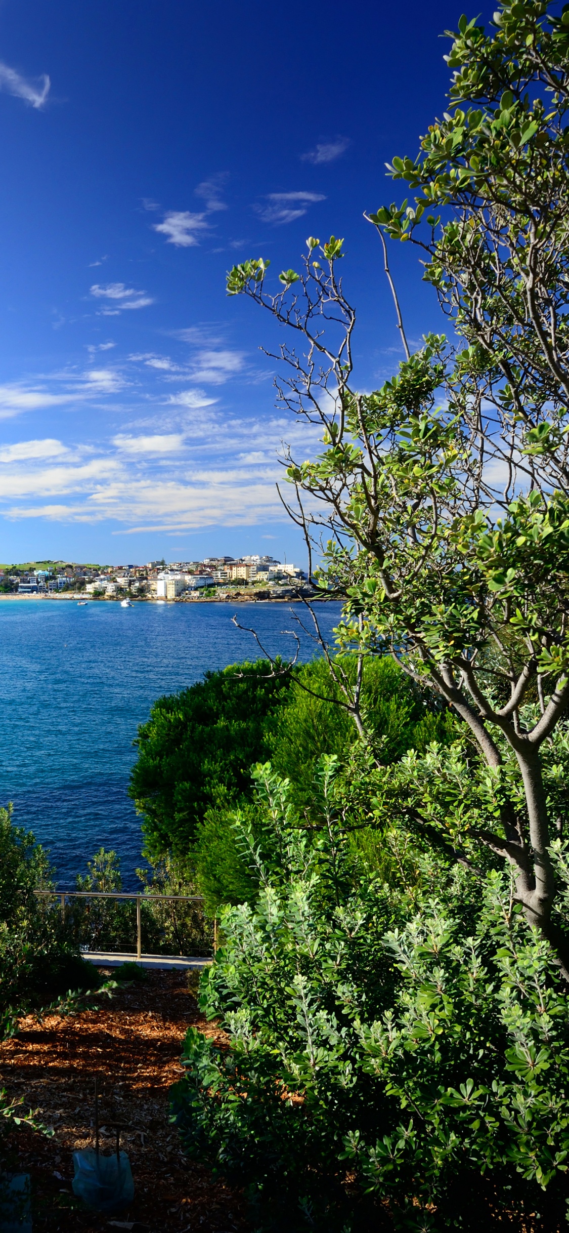 Green Trees Near Body of Water Under Blue Sky During Daytime. Wallpaper in 1125x2436 Resolution