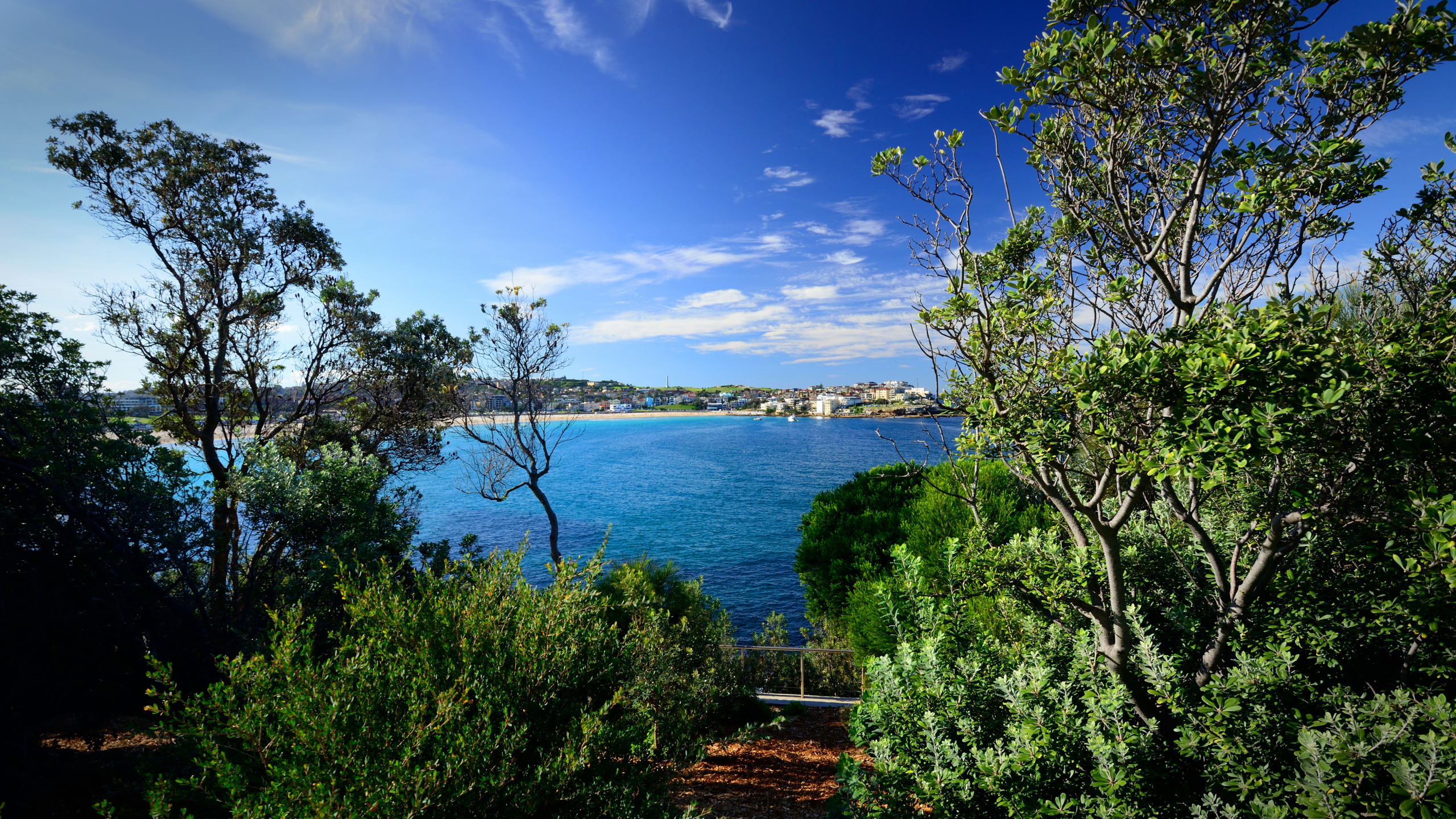 Green Trees Near Body of Water Under Blue Sky During Daytime. Wallpaper in 2560x1440 Resolution