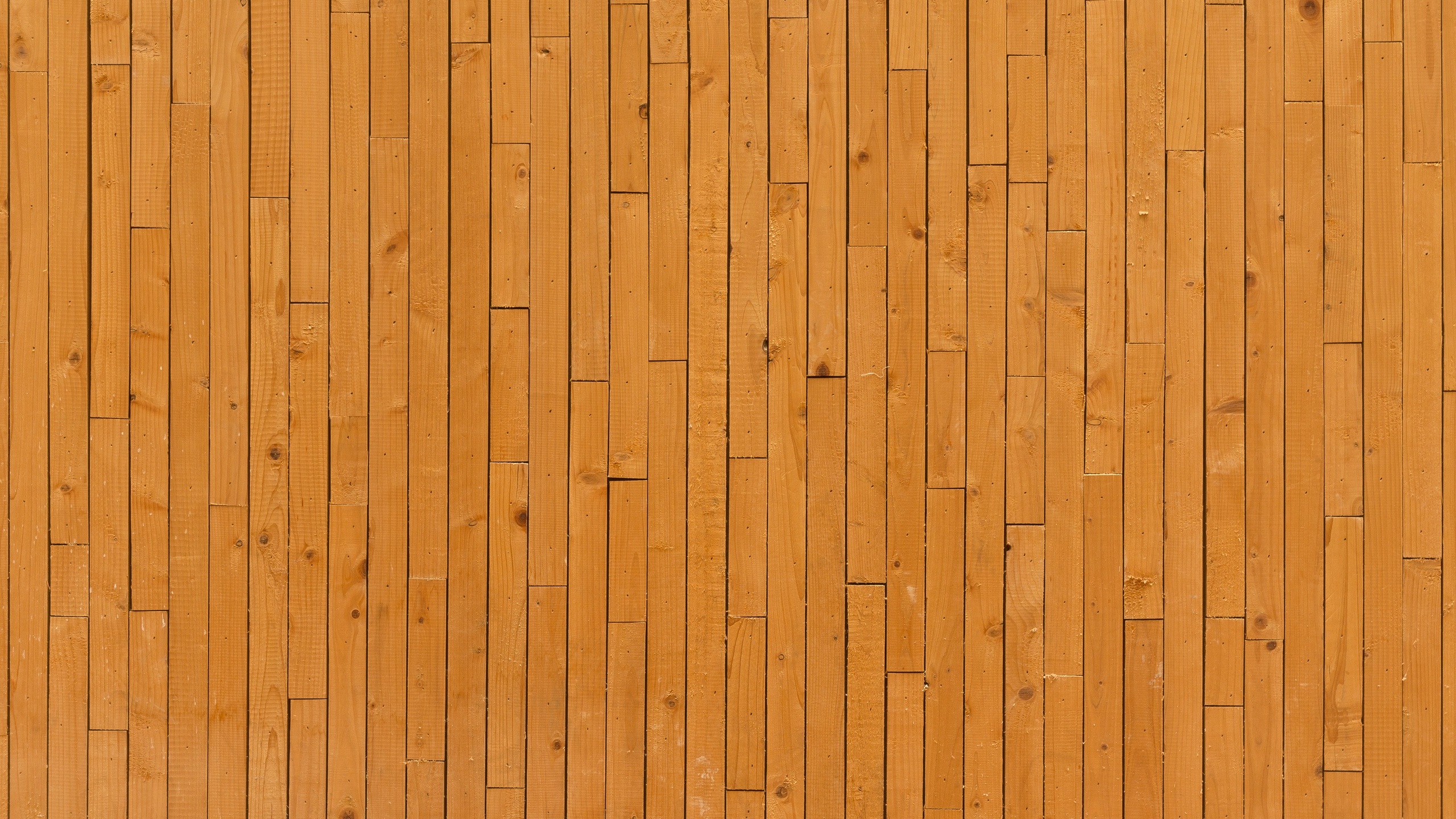 Mur en Bois Marron Pendant la Journée. Wallpaper in 2560x1440 Resolution