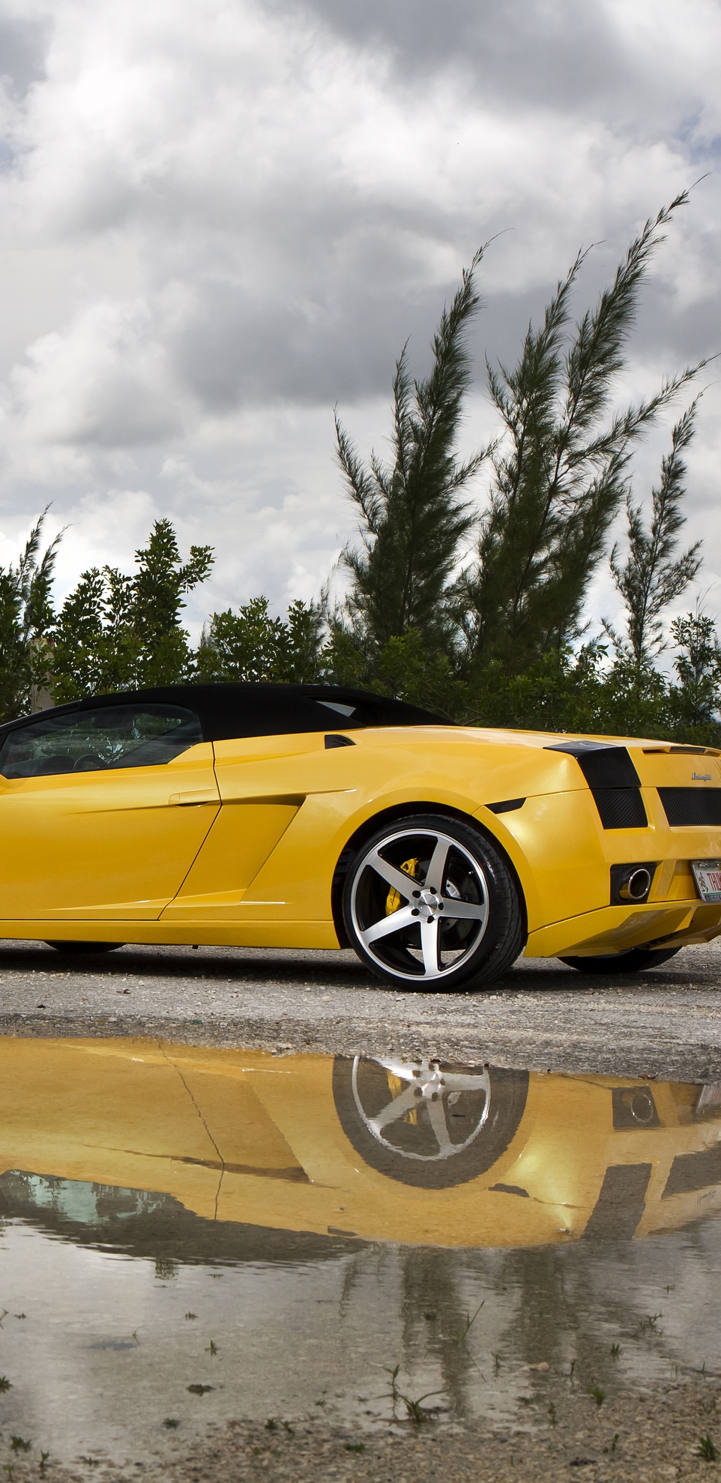 Ferrari 458 Italia Jaune Sur L'eau. Wallpaper in 1440x2960 Resolution