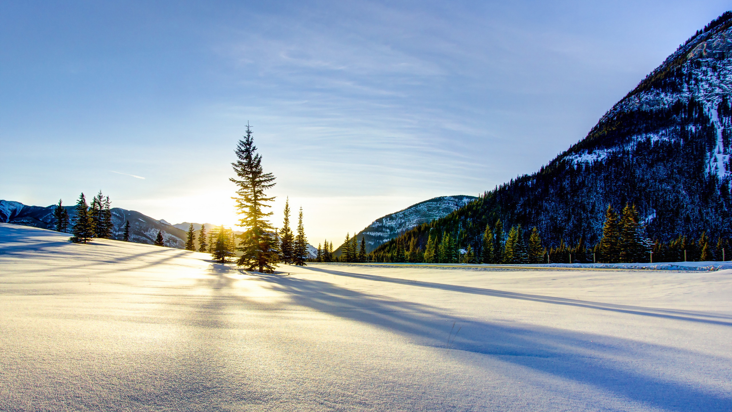 Snow Covered Road Near Trees and Mountain During Daytime. Wallpaper in 2560x1440 Resolution