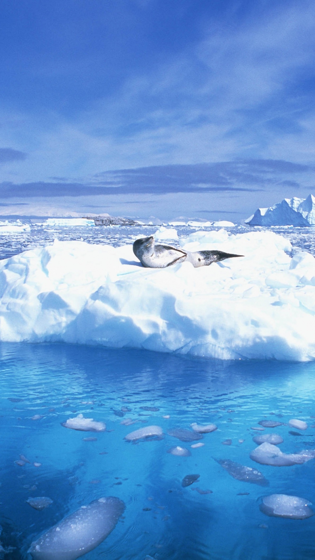 北冰洋, 海洋, 海冰的, 冰山, 极地冰盖 壁纸 1080x1920 允许