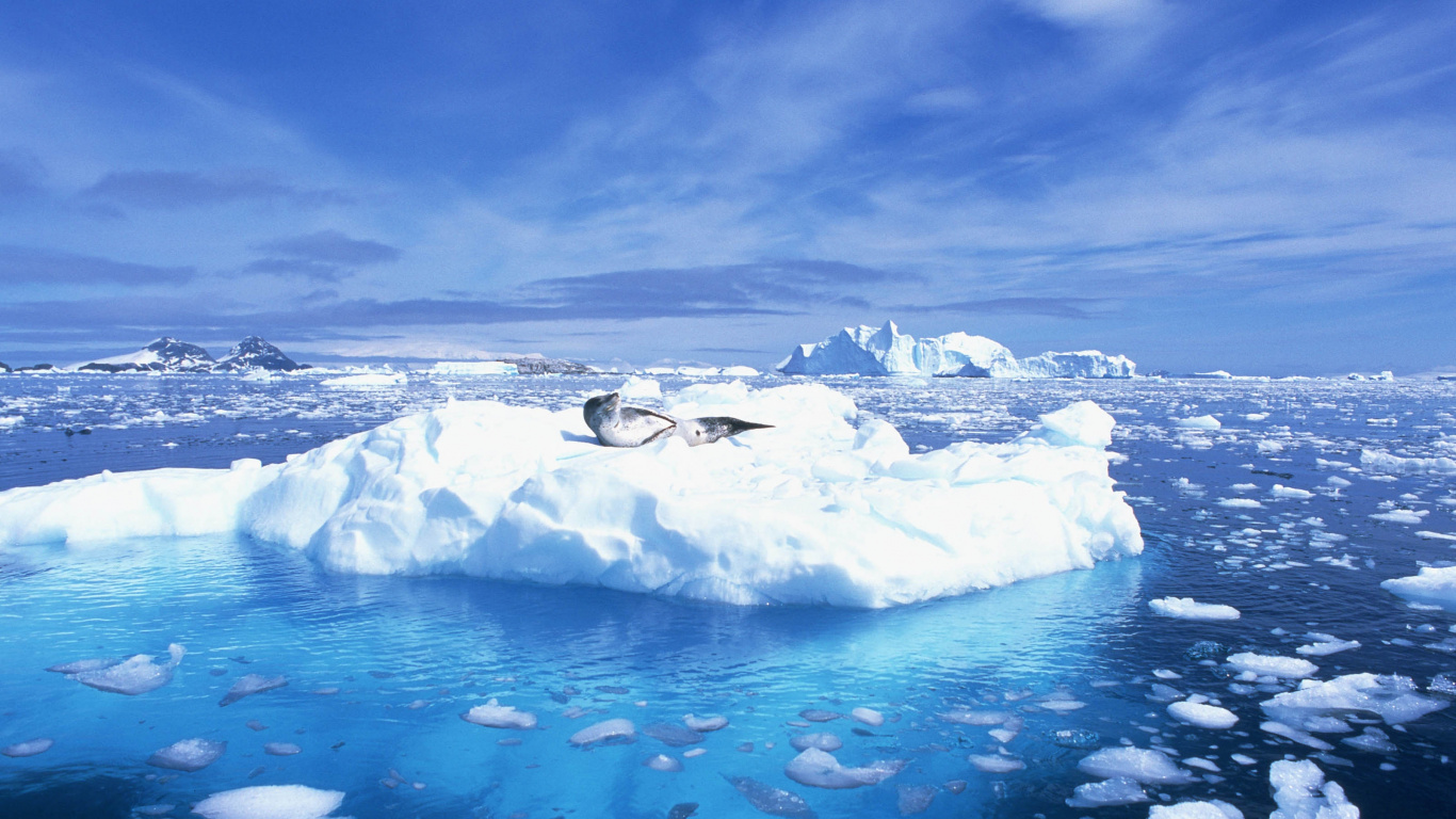 北冰洋, 海洋, 海冰的, 冰山, 极地冰盖 壁纸 1366x768 允许