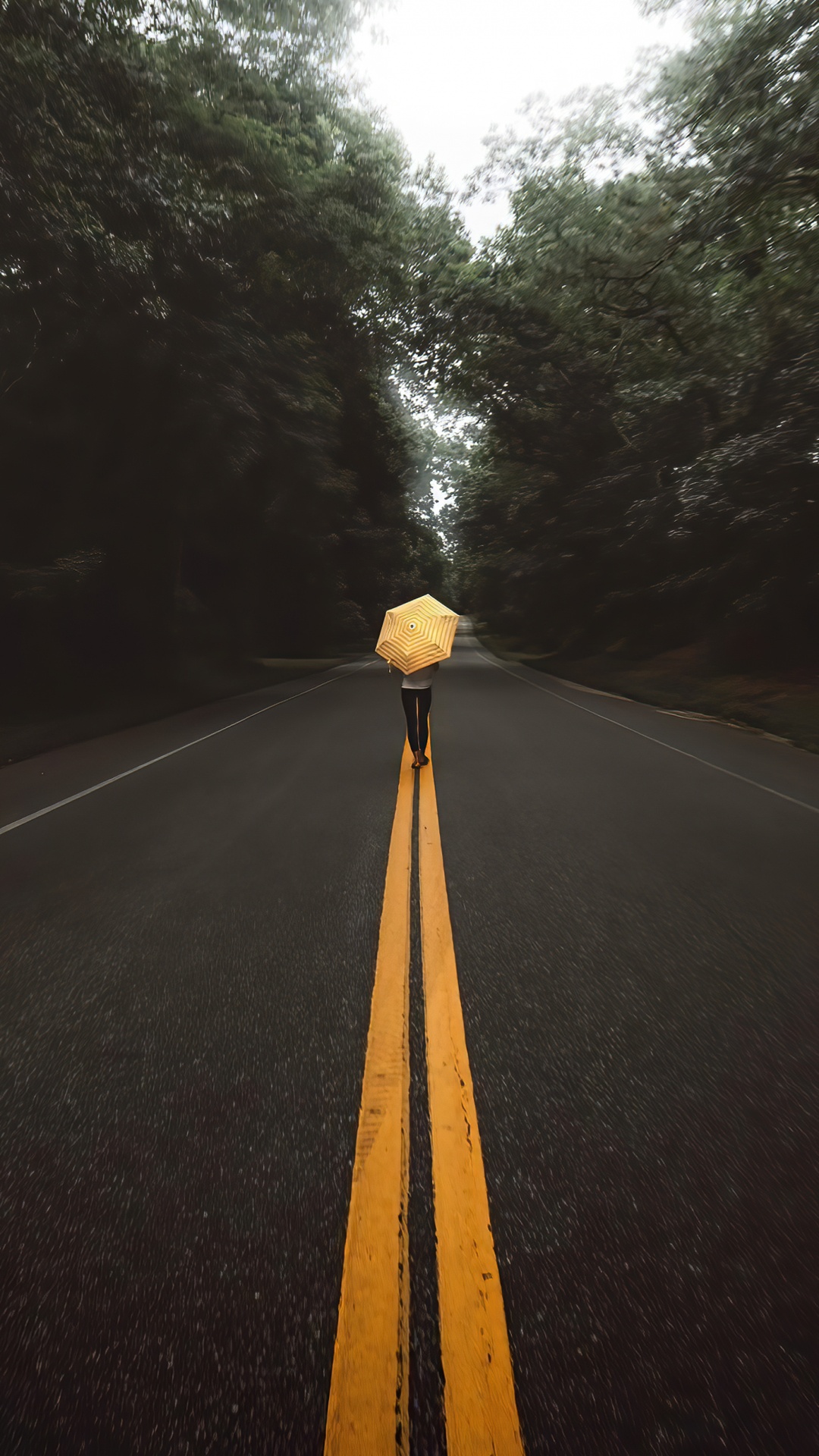 Voie, Surface de la Route, Asphalt, Paysage Naturel, Tar. Wallpaper in 1080x1920 Resolution