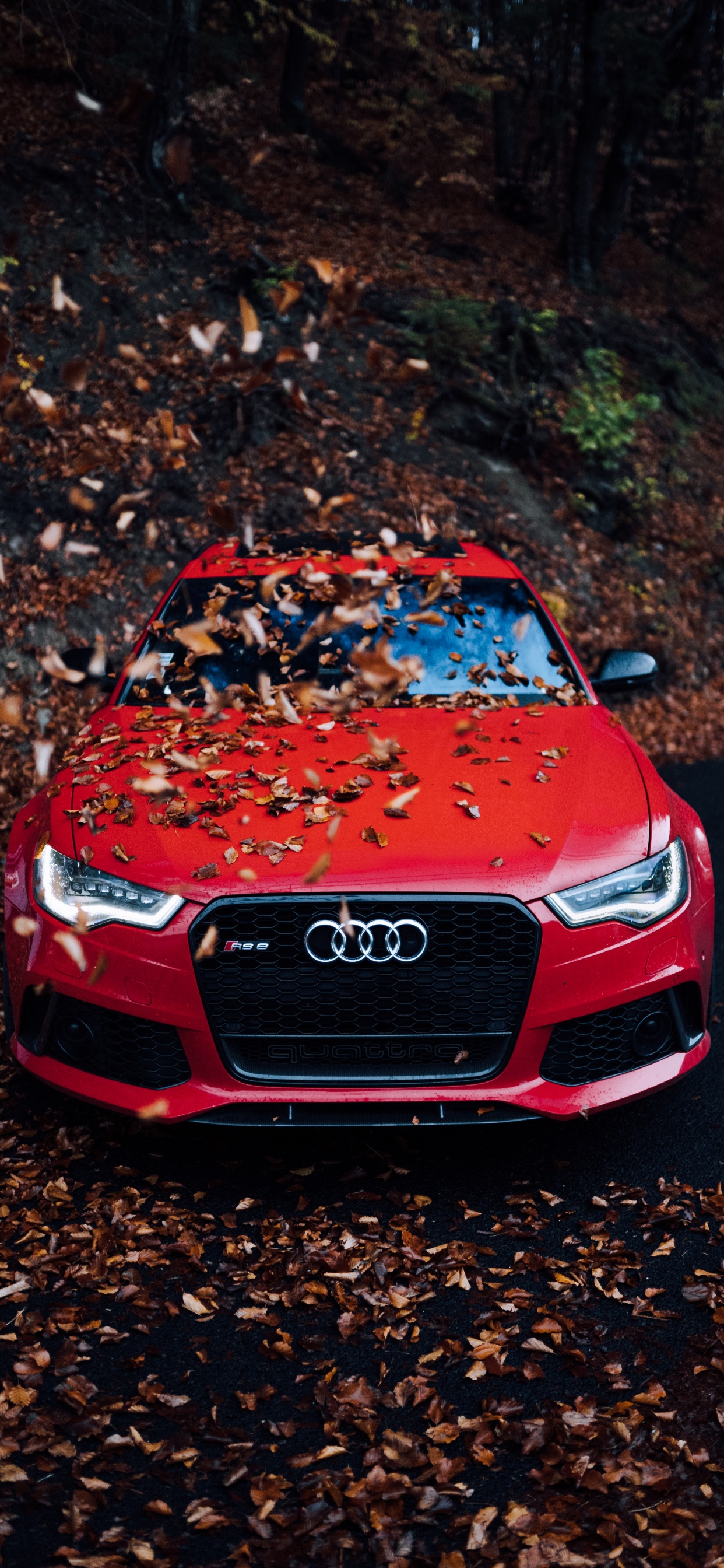 Red Audi a 4 on Brown Soil. Wallpaper in 1242x2688 Resolution