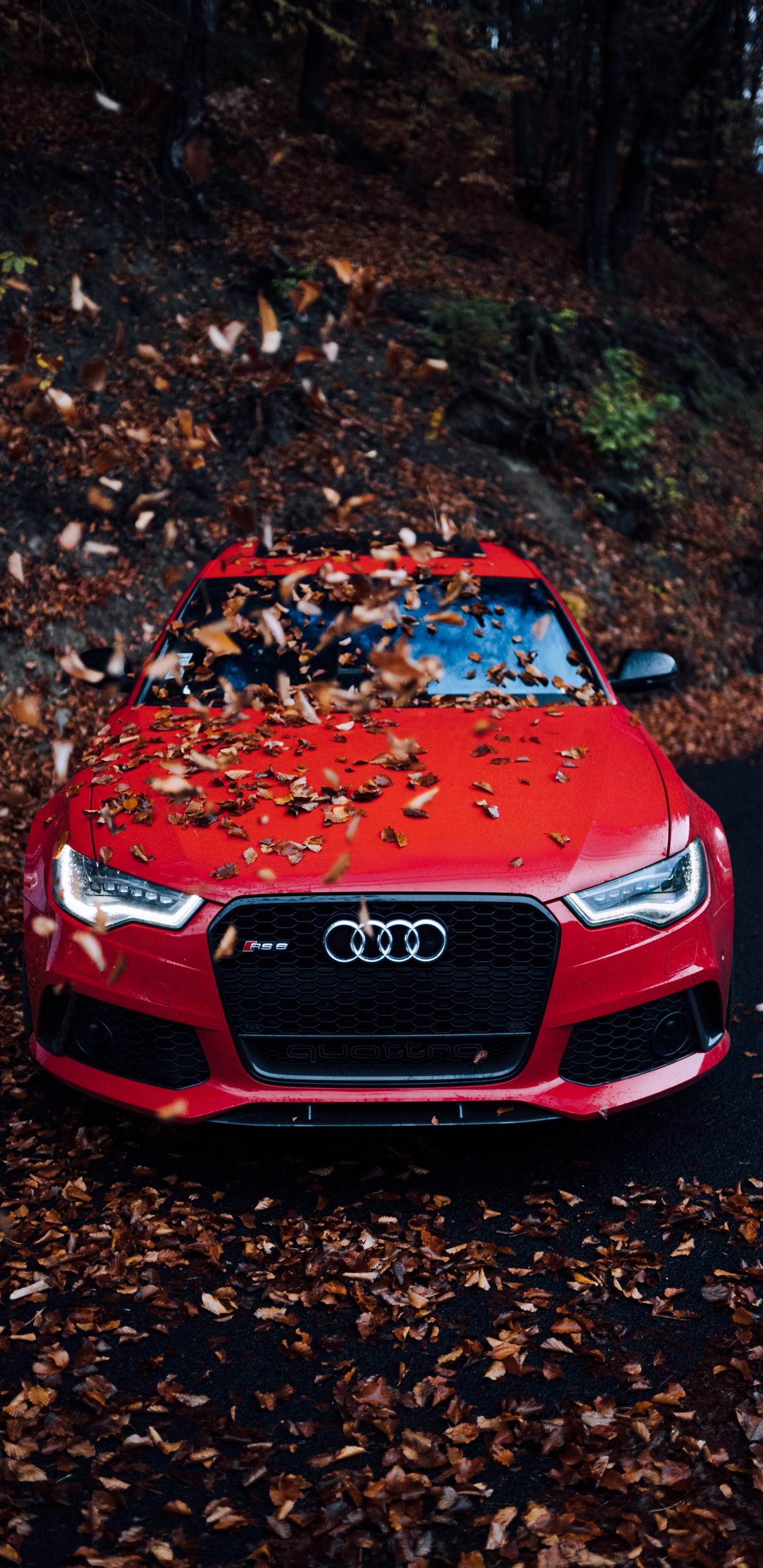 Red Audi a 4 on Brown Soil. Wallpaper in 1440x2960 Resolution