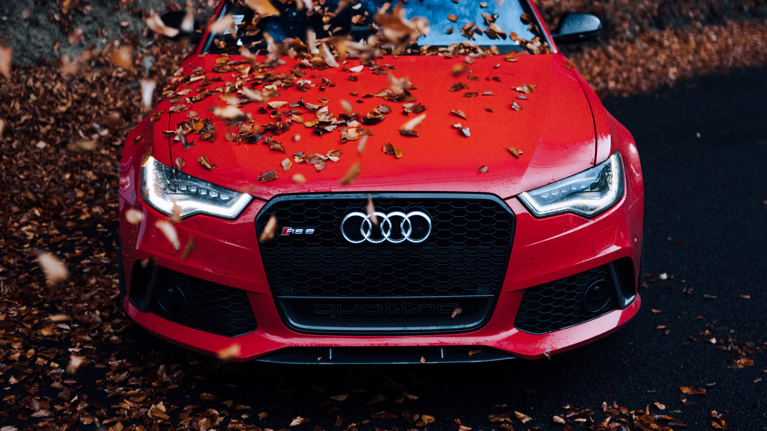 Red Audi a 4 on Brown Soil. Wallpaper in 2560x1440 Resolution
