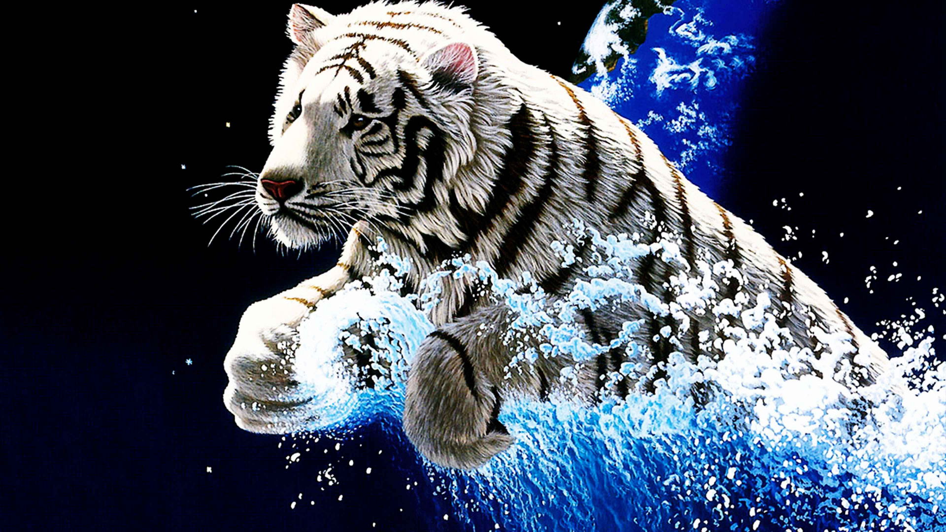 White and Black Tiger in Water. Wallpaper in 1920x1080 Resolution