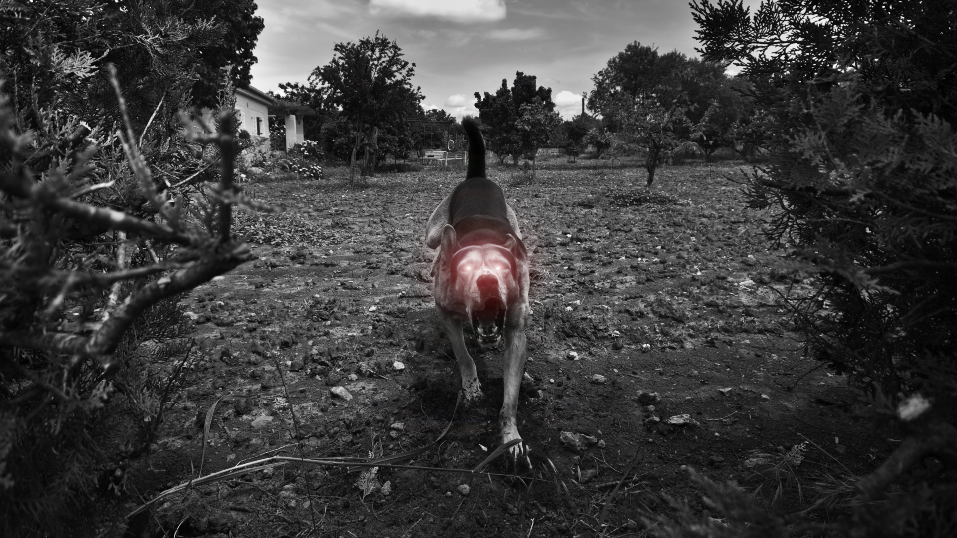 Person in Schwarzer Jacke, Die Tagsüber Auf Einer Grünen Wiese Steht. Wallpaper in 1920x1080 Resolution